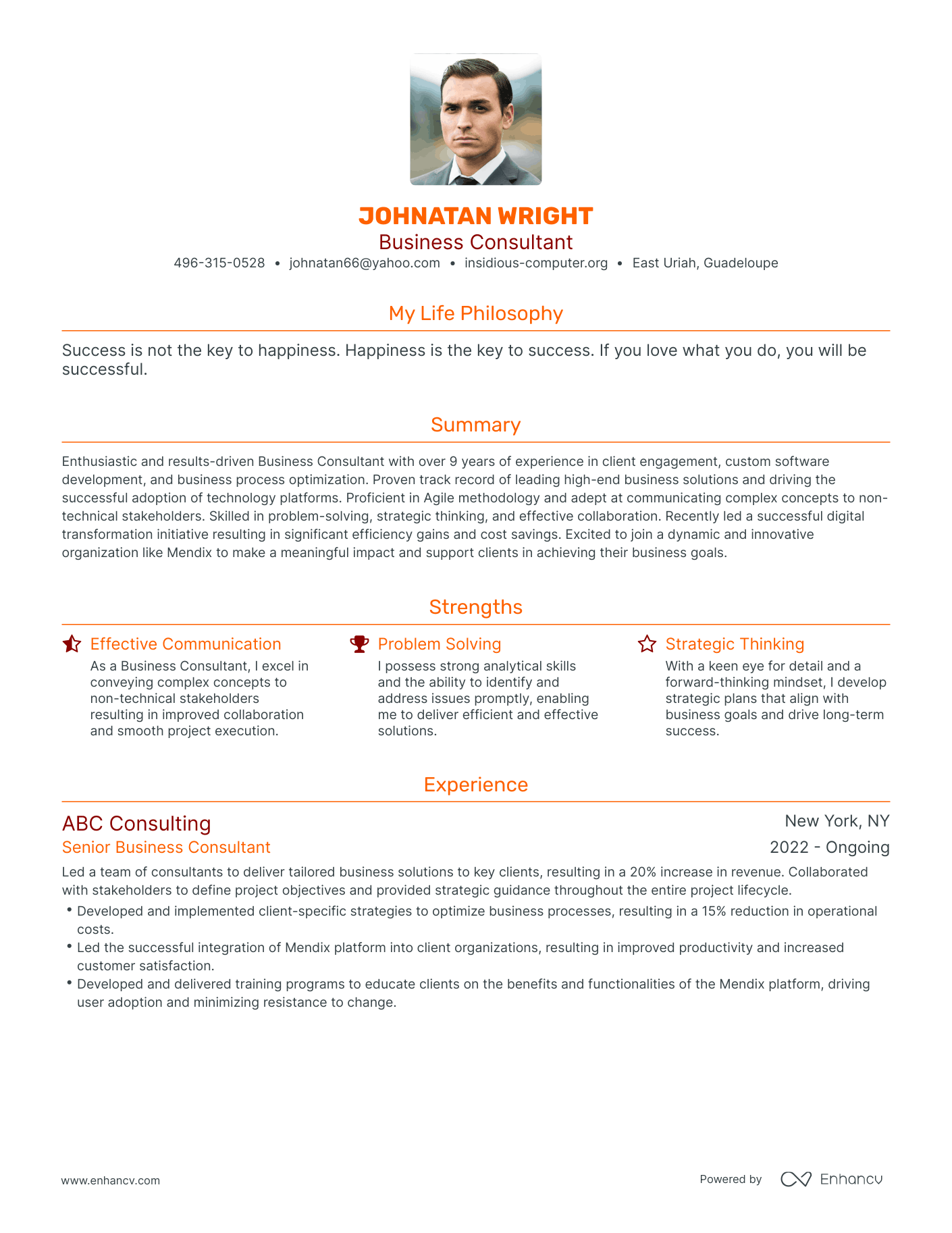 Modern Business Consultant Resume Example