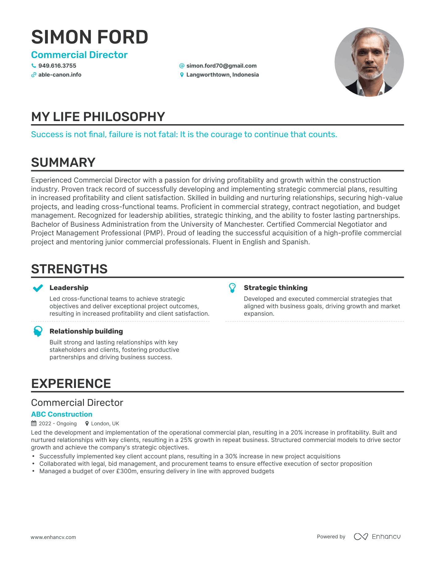 Creative Commercial Director Resume Example