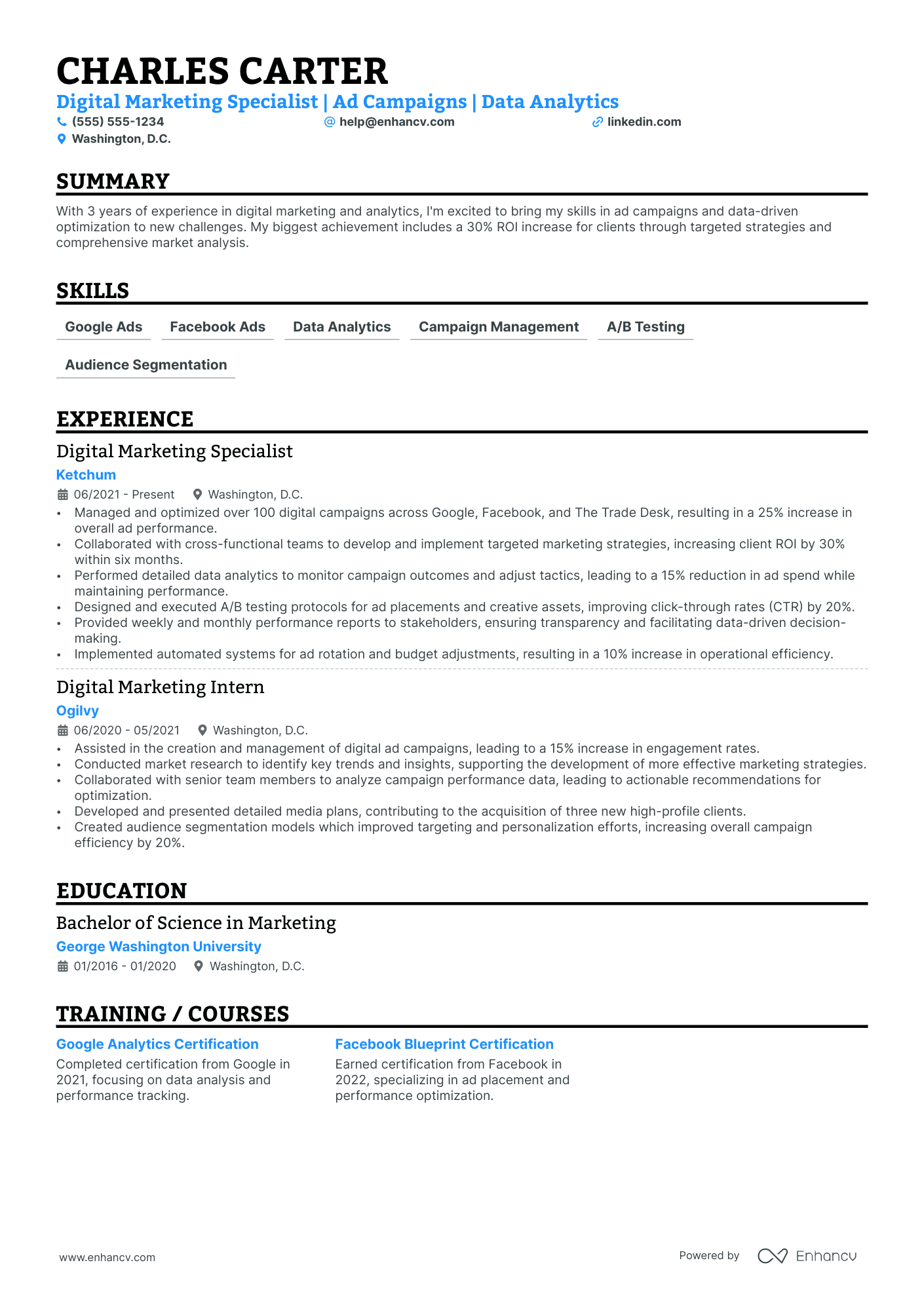 Digital Media Planner Resume Example Resume Example