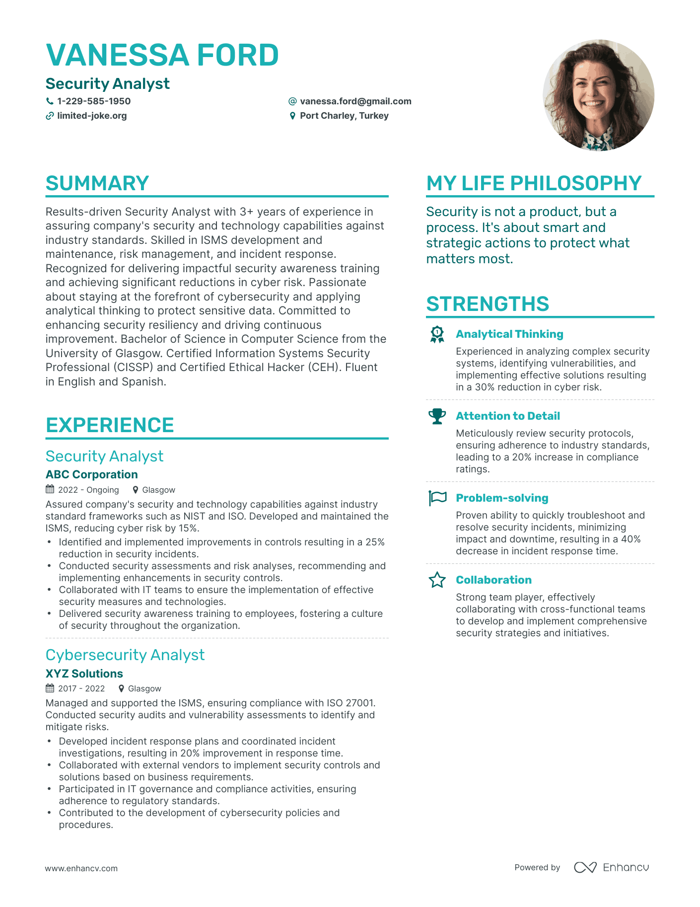 Security Analyst resume example