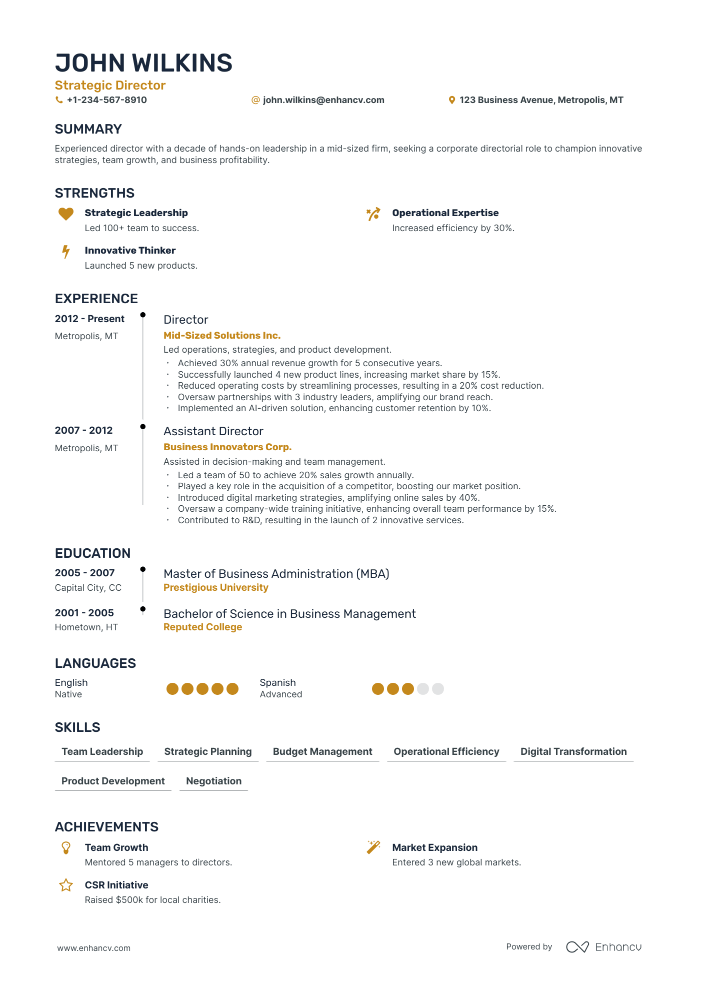 Director resume example