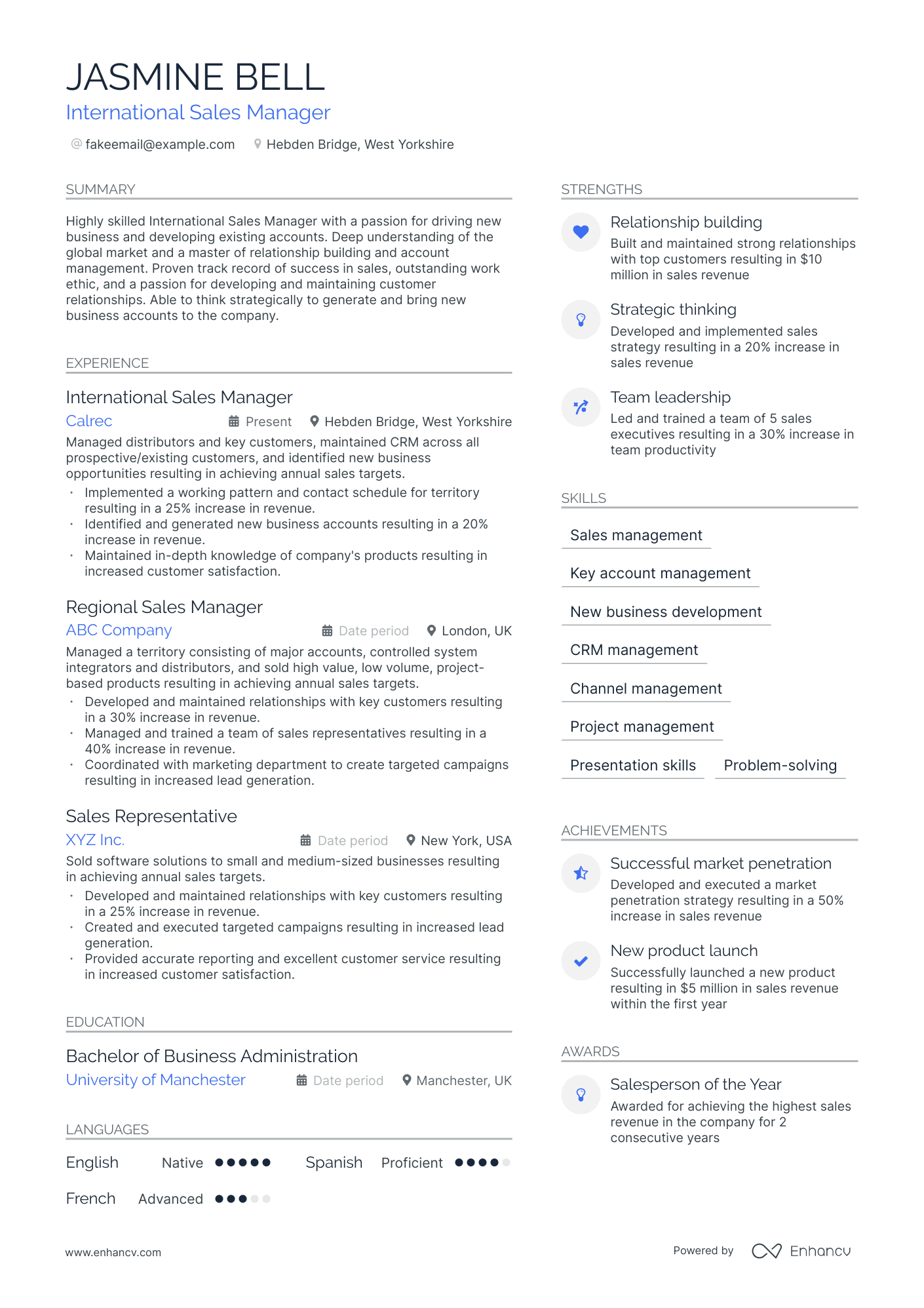 international sales manager resume example