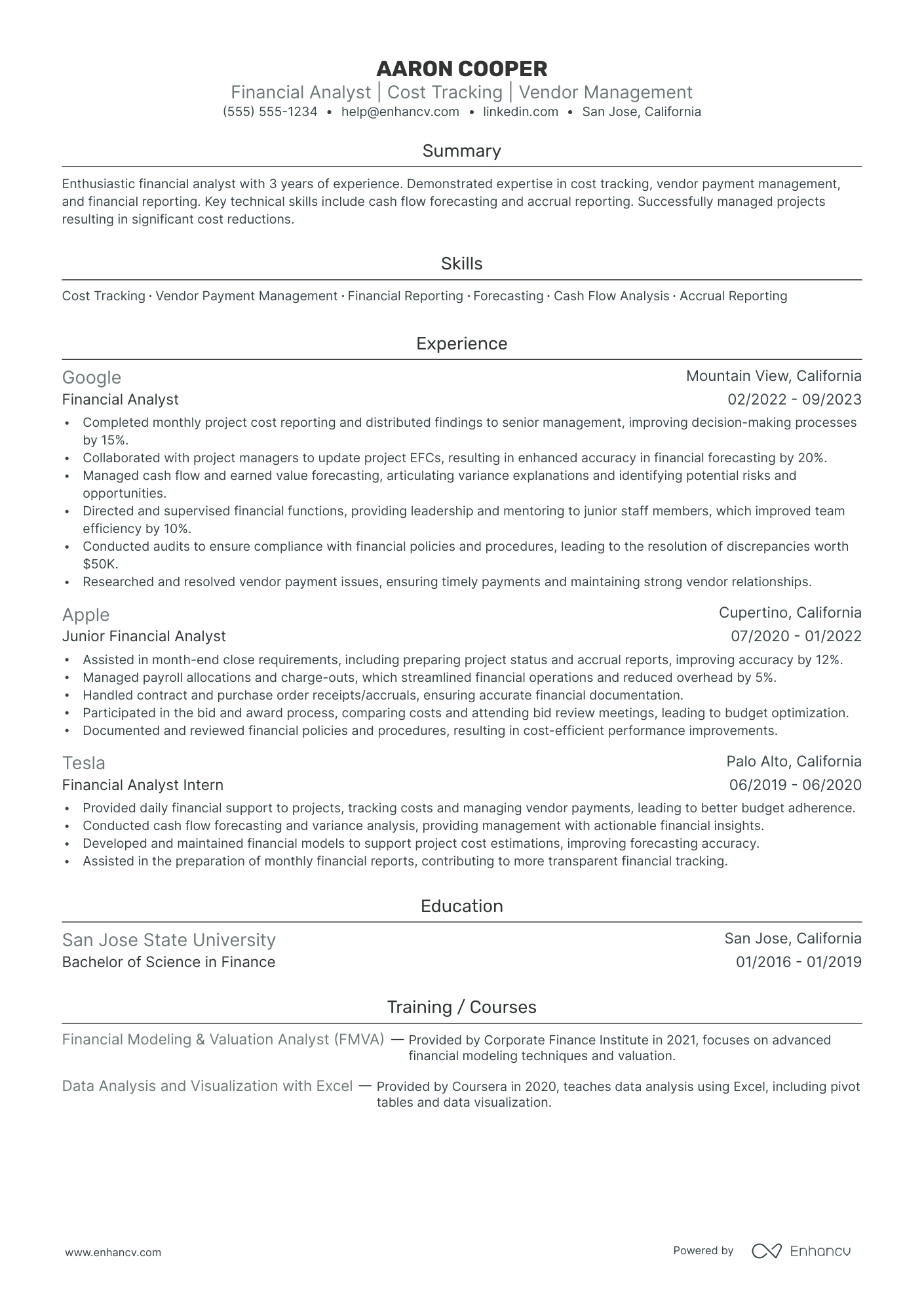 Finance Project Manager Resume Example Resume Example