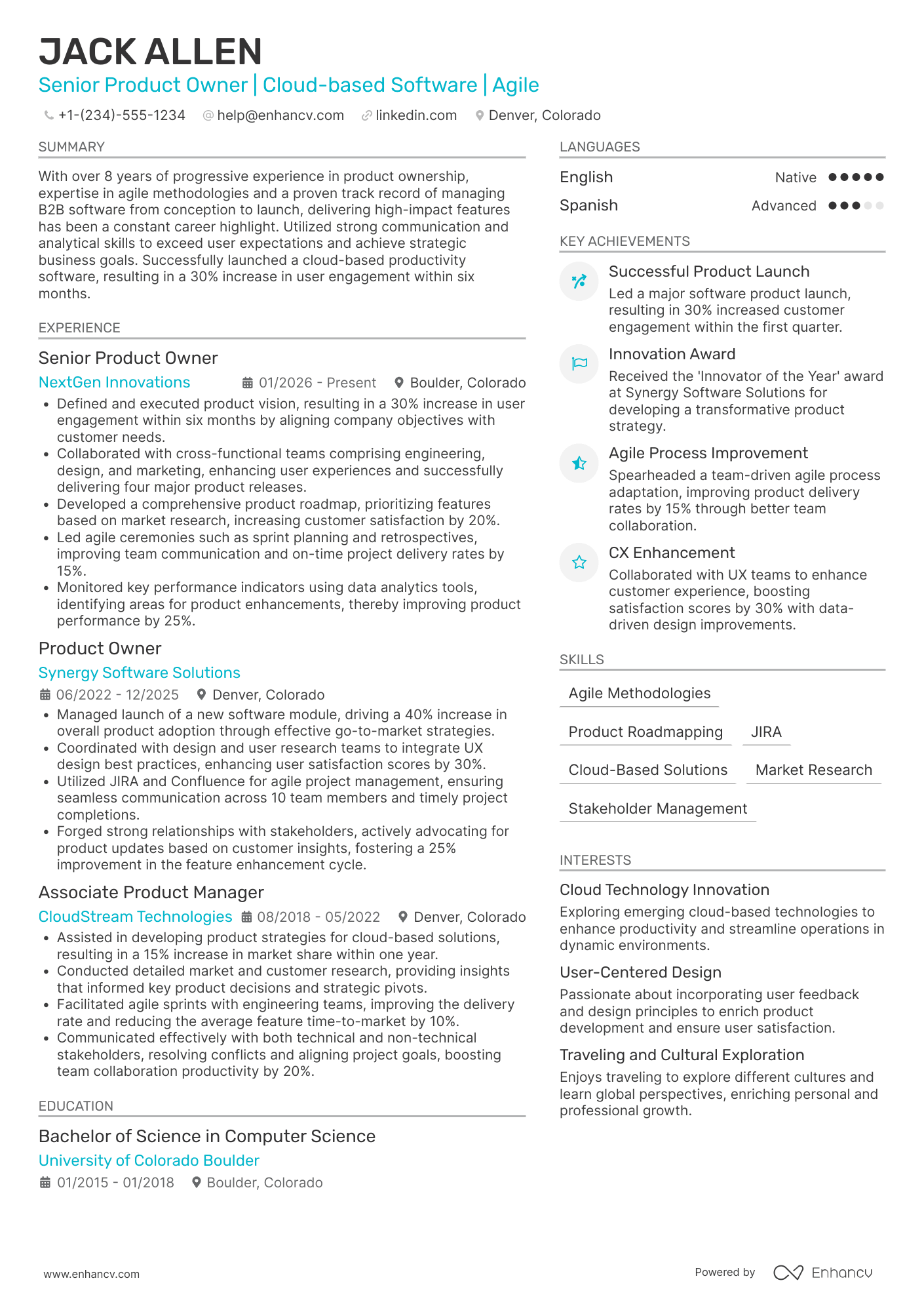 Senior Product Owner resume example