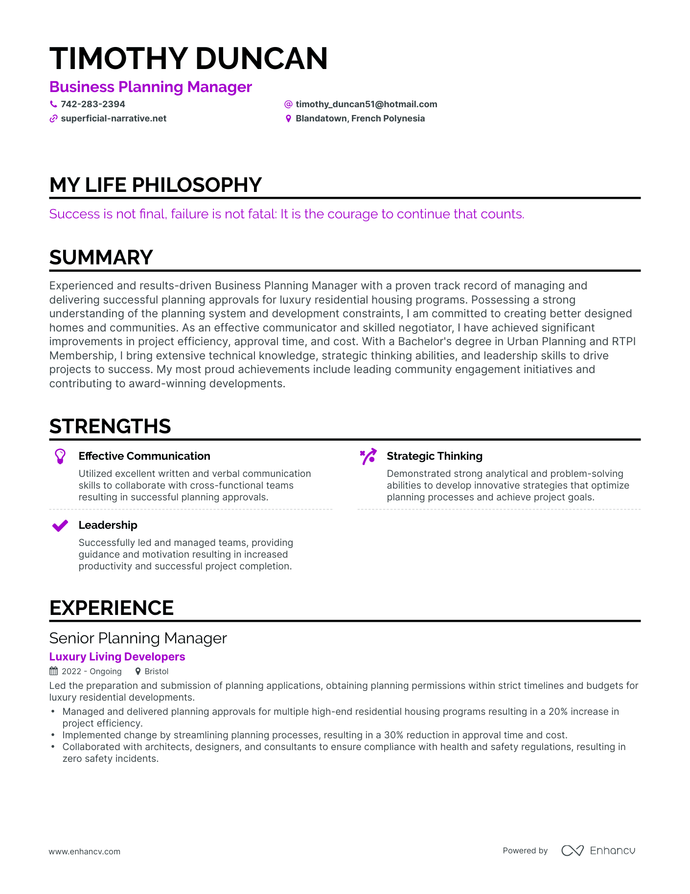 Creative Business Planning Manager Resume Example