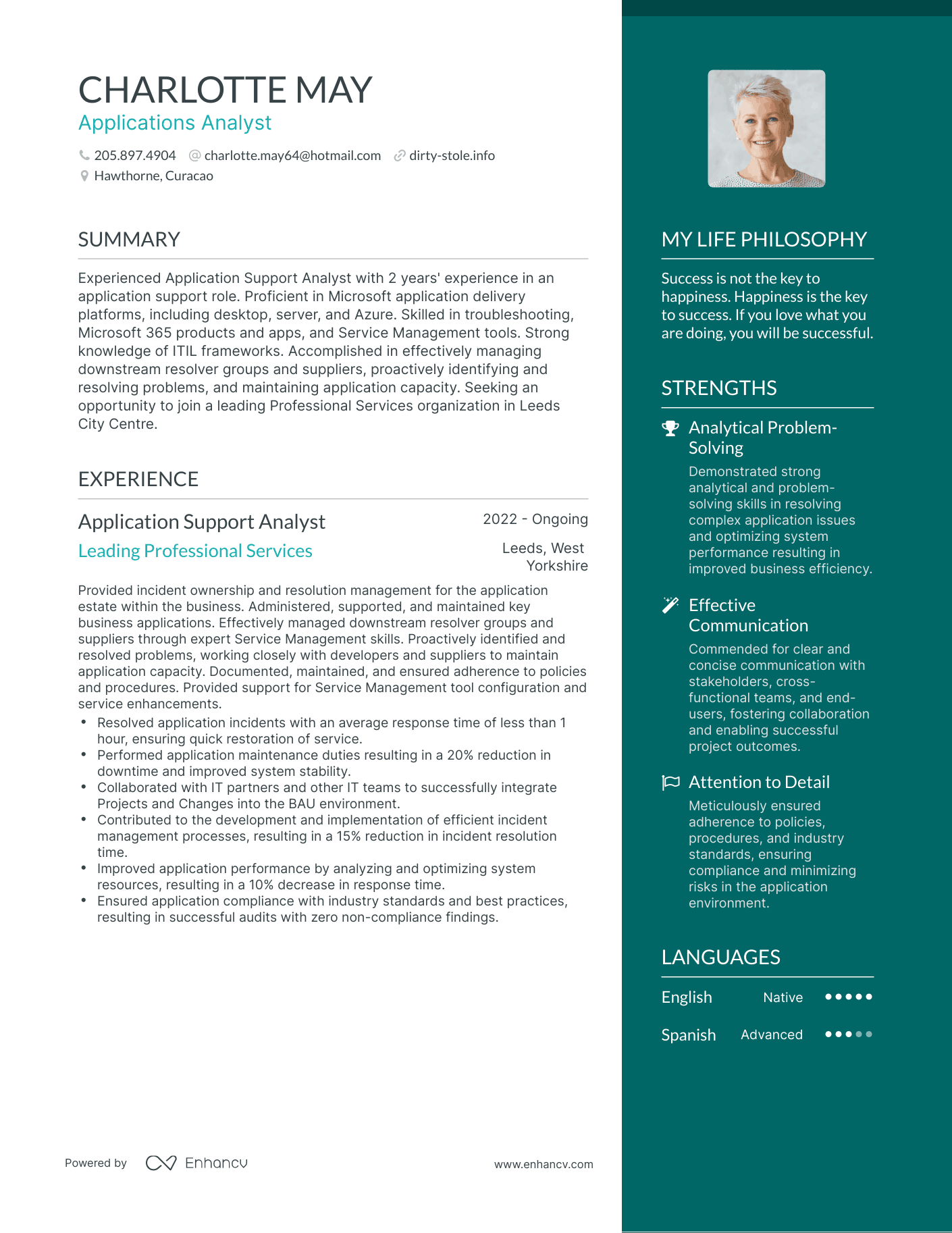 Applications Analyst resume example