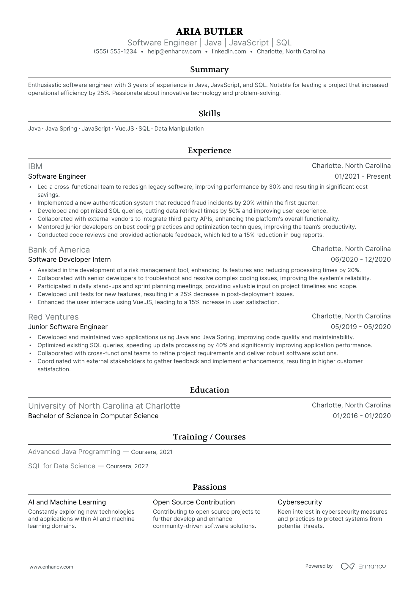 Software Development Team Lead Resume Example Resume Example