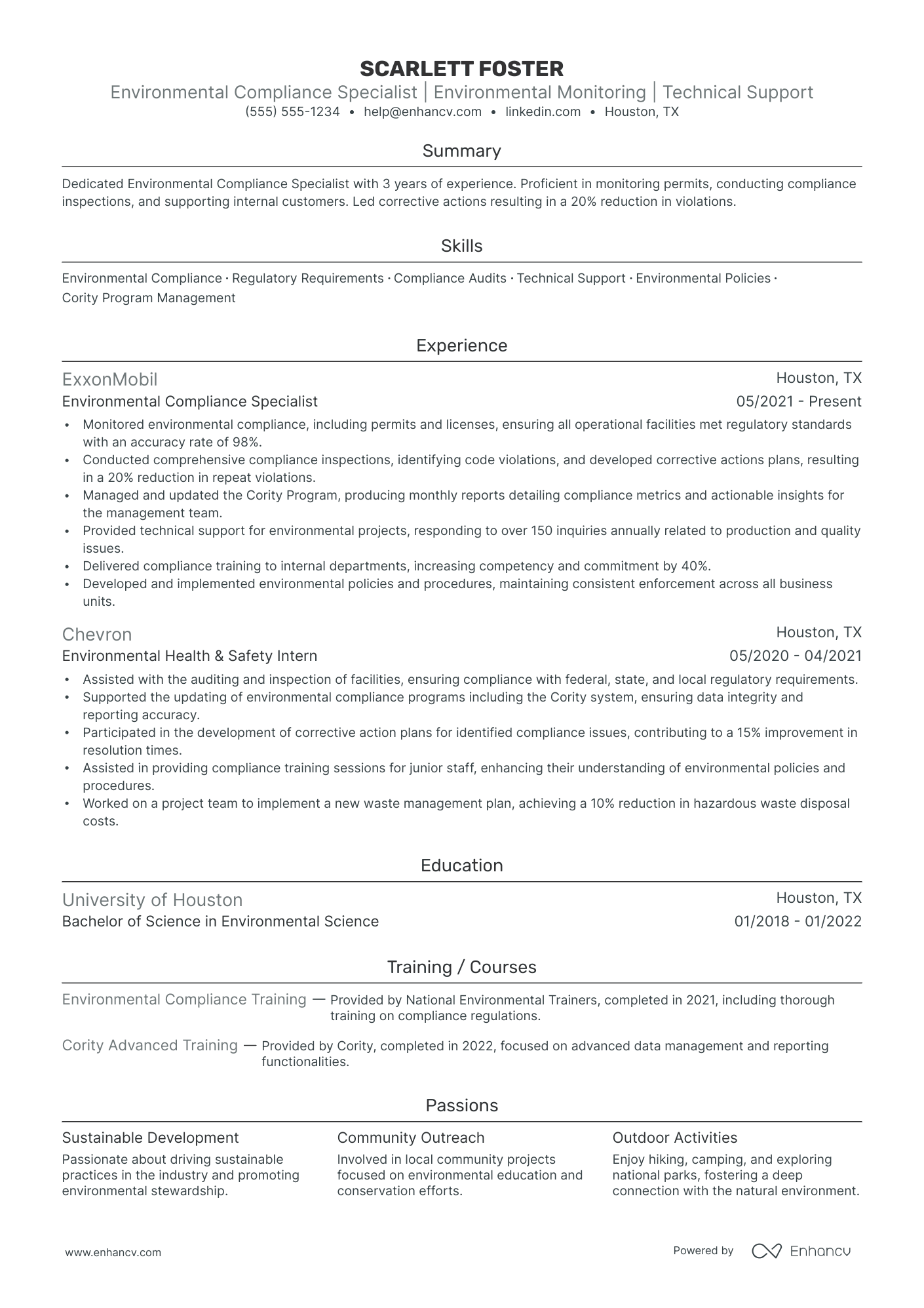 Environmental Auditor resume example