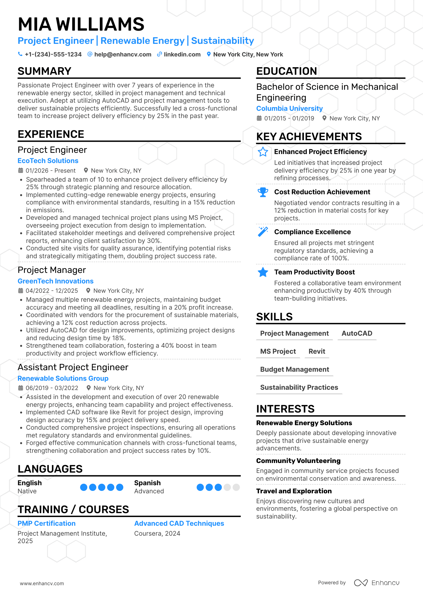 Project Engineer resume example