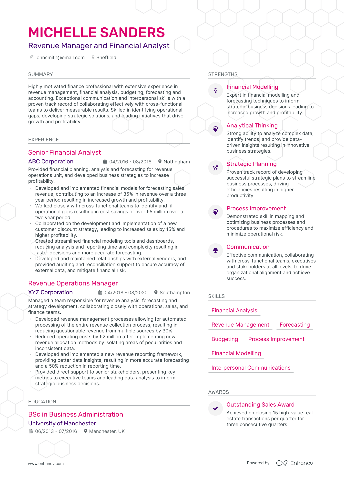 Revenue Manager and Financial Analyst CV example