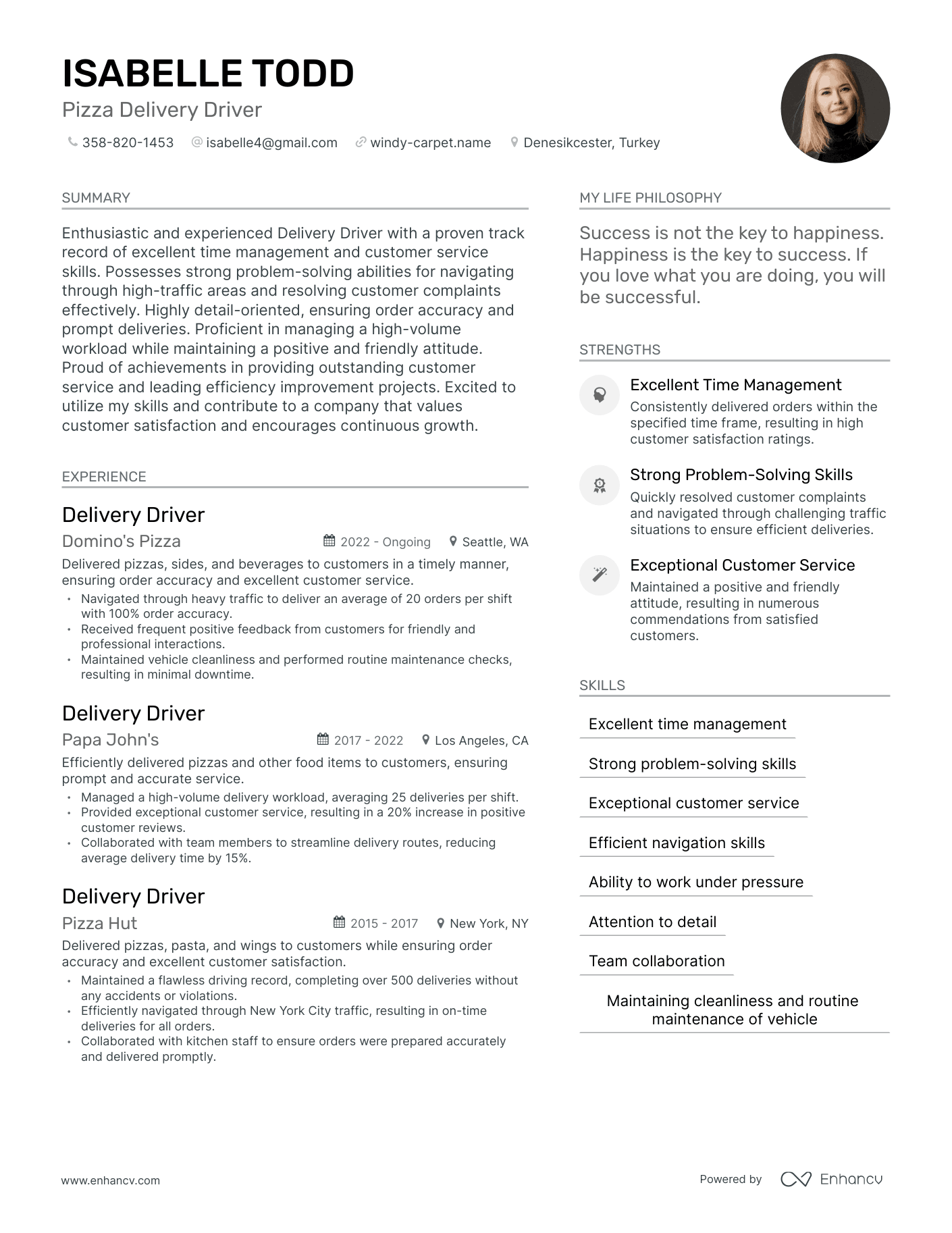 Modern Pizza Delivery Driver Resume Example