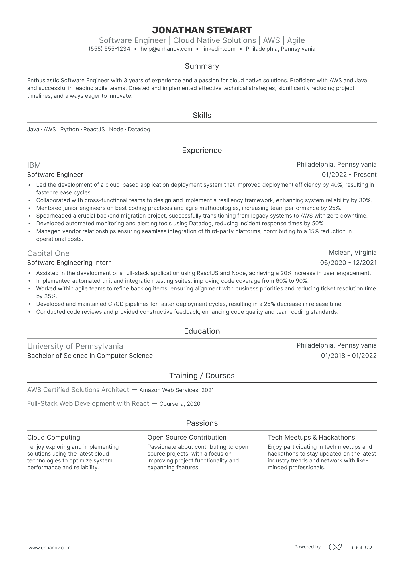 Executive Director of Software Engineering resume example