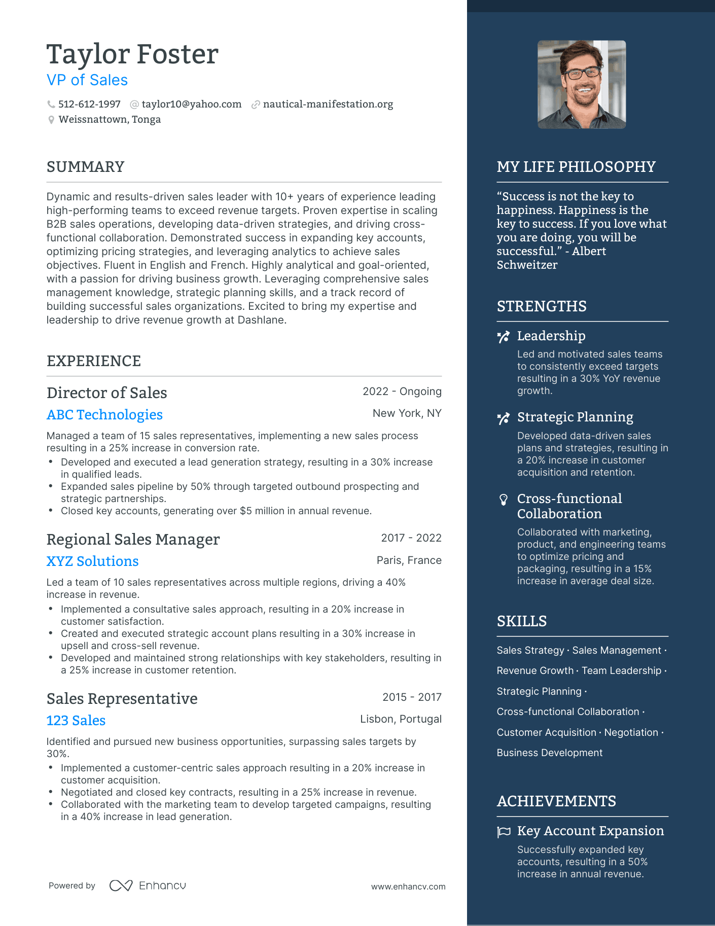 Modern VP of Sales Resume Example