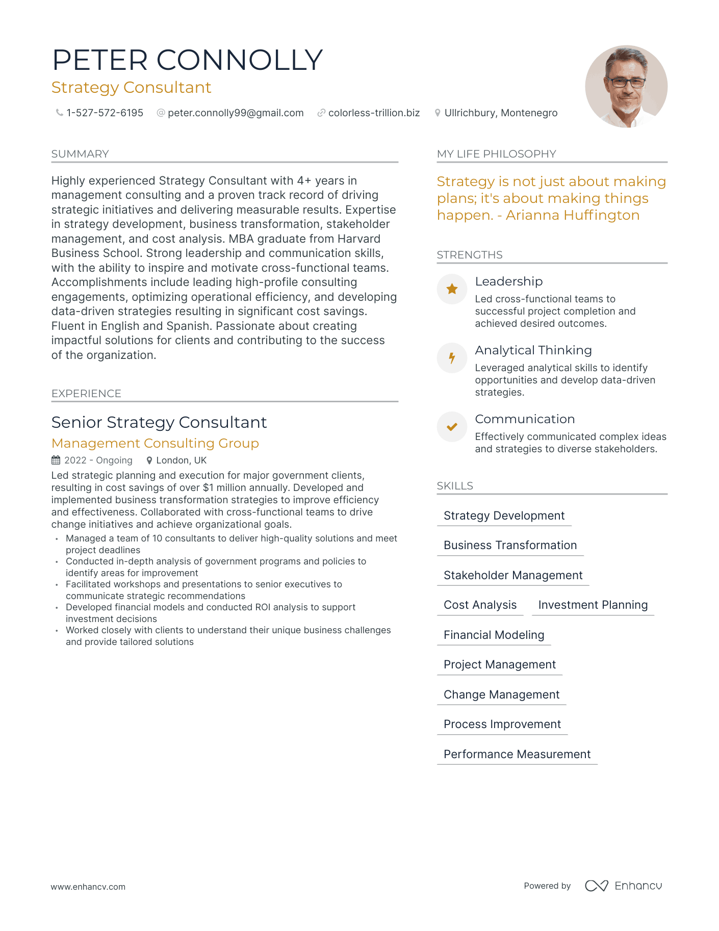 Modern Strategy Consultant Resume Example