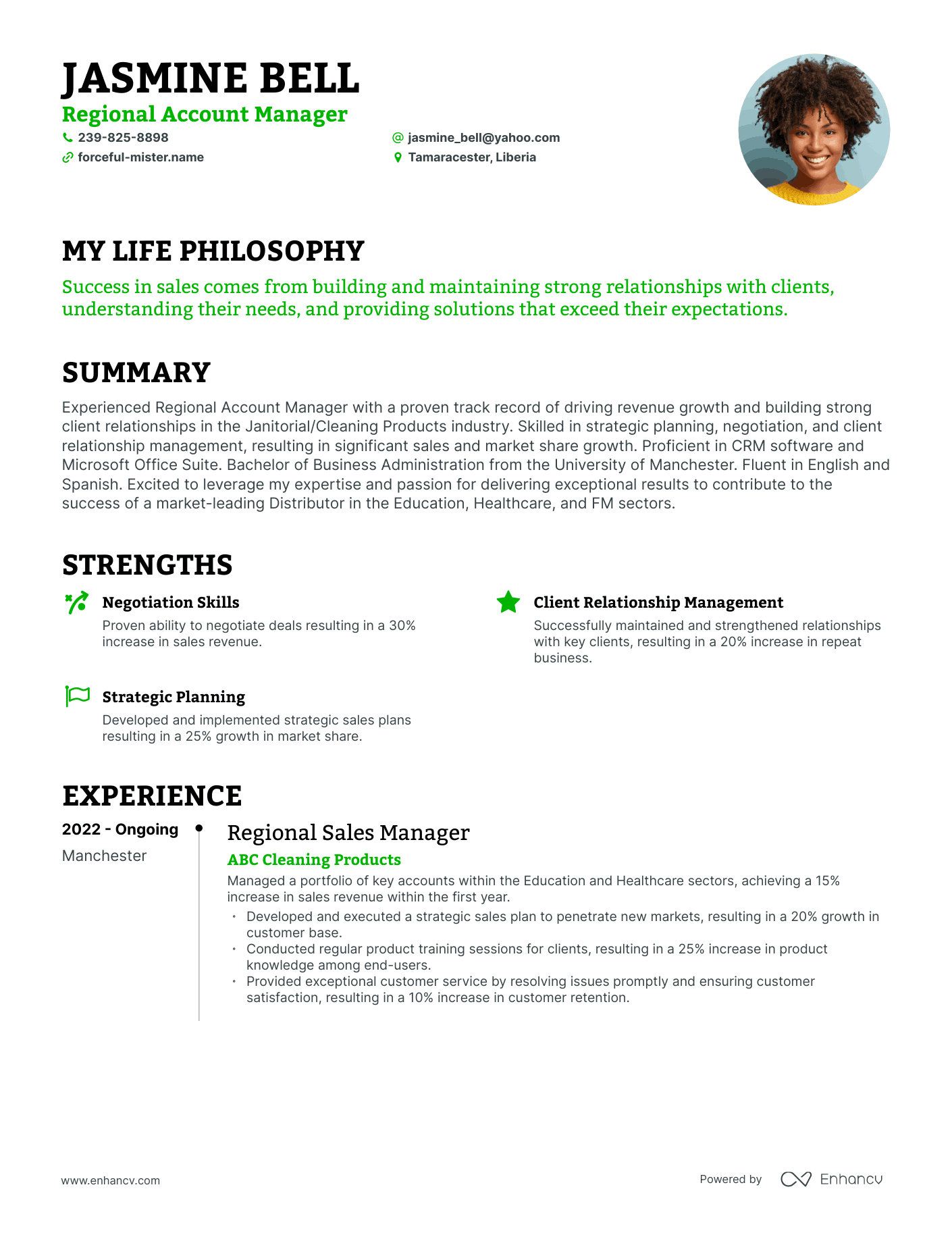 Creative Regional Account Manager Resume Example