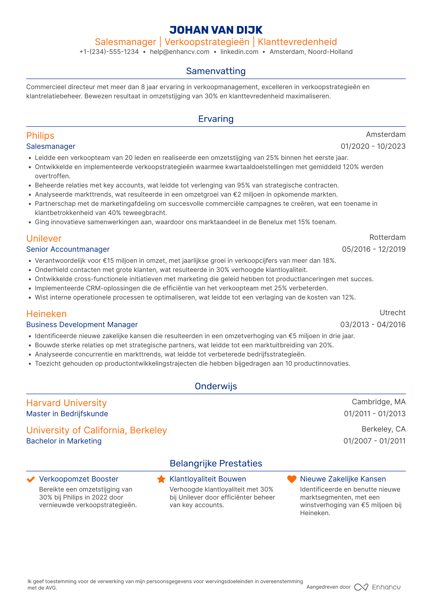 Salesmanager CV