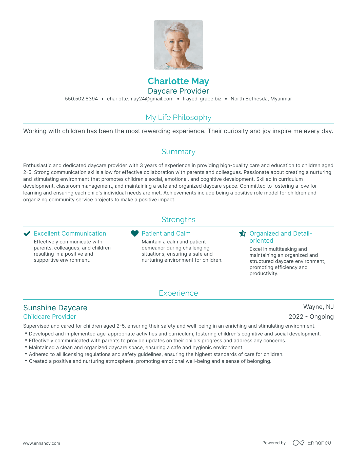 Modern Daycare Provider Resume Example