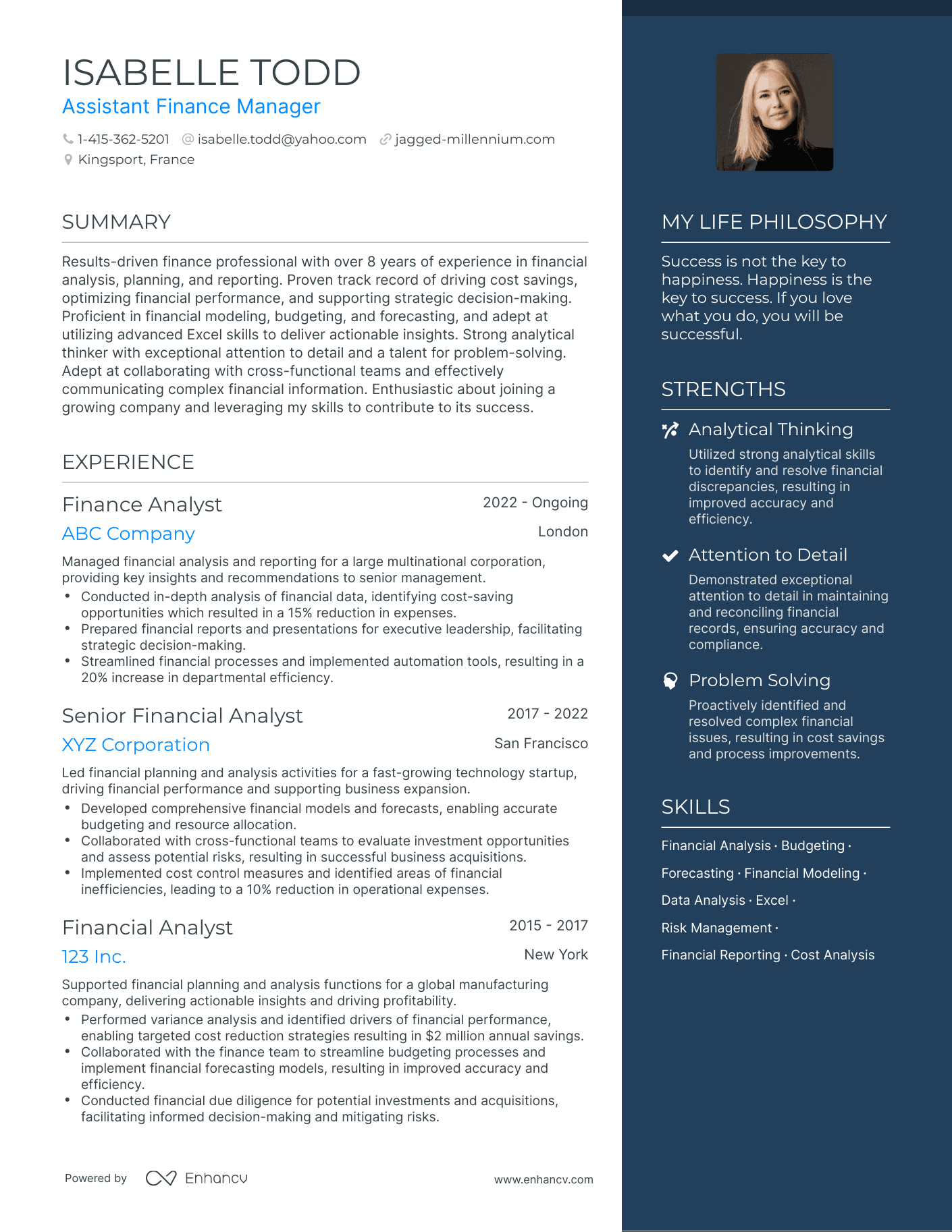 Modern Assistant Finance Manager Resume Example
