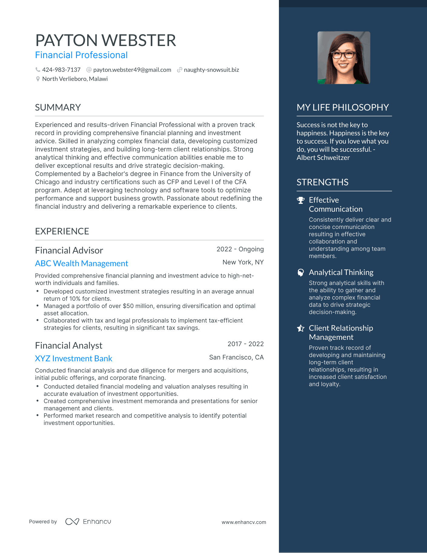 Modern Financial Professional Resume Example