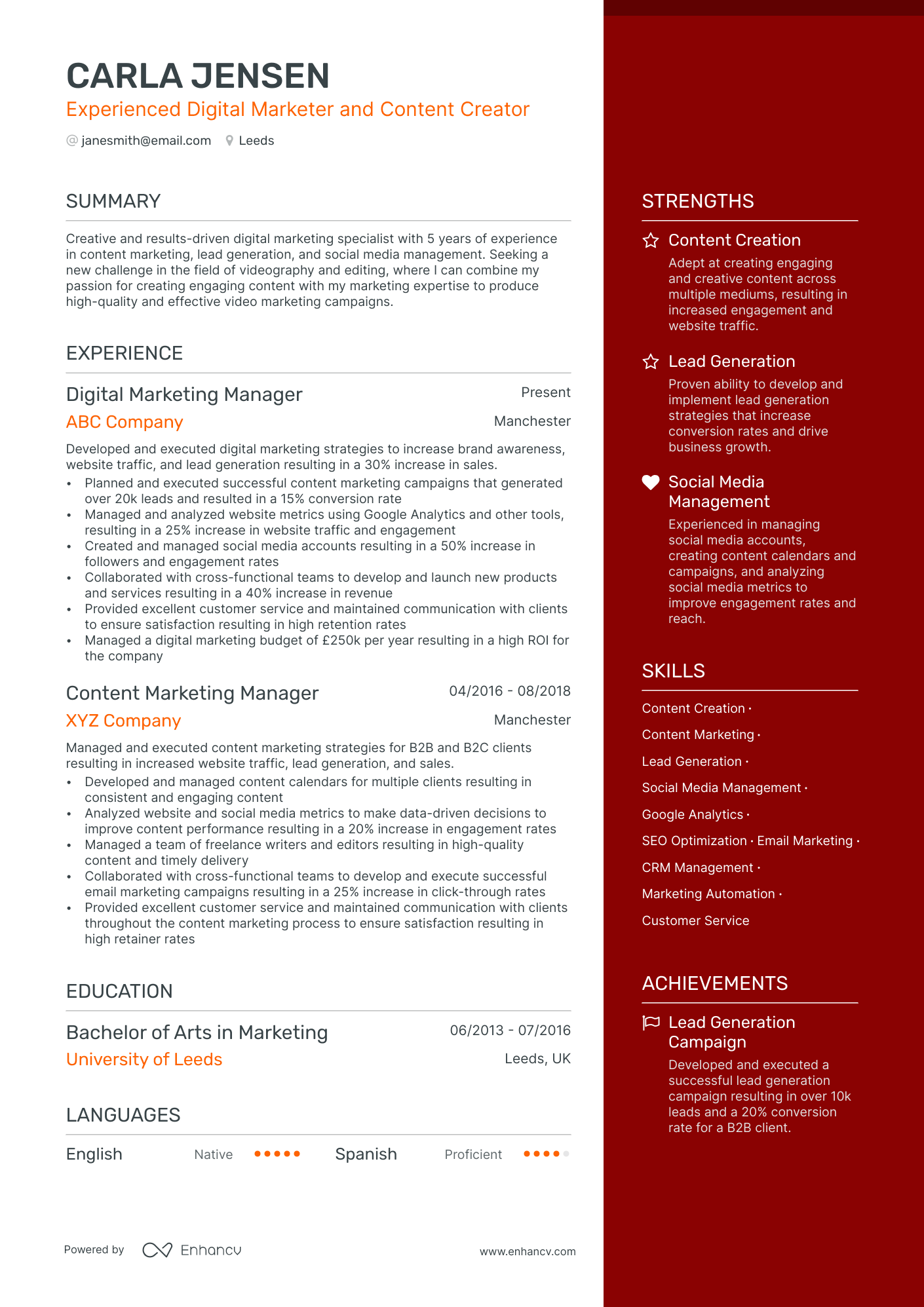 Experienced Digital Marketer and Content Creator CV example