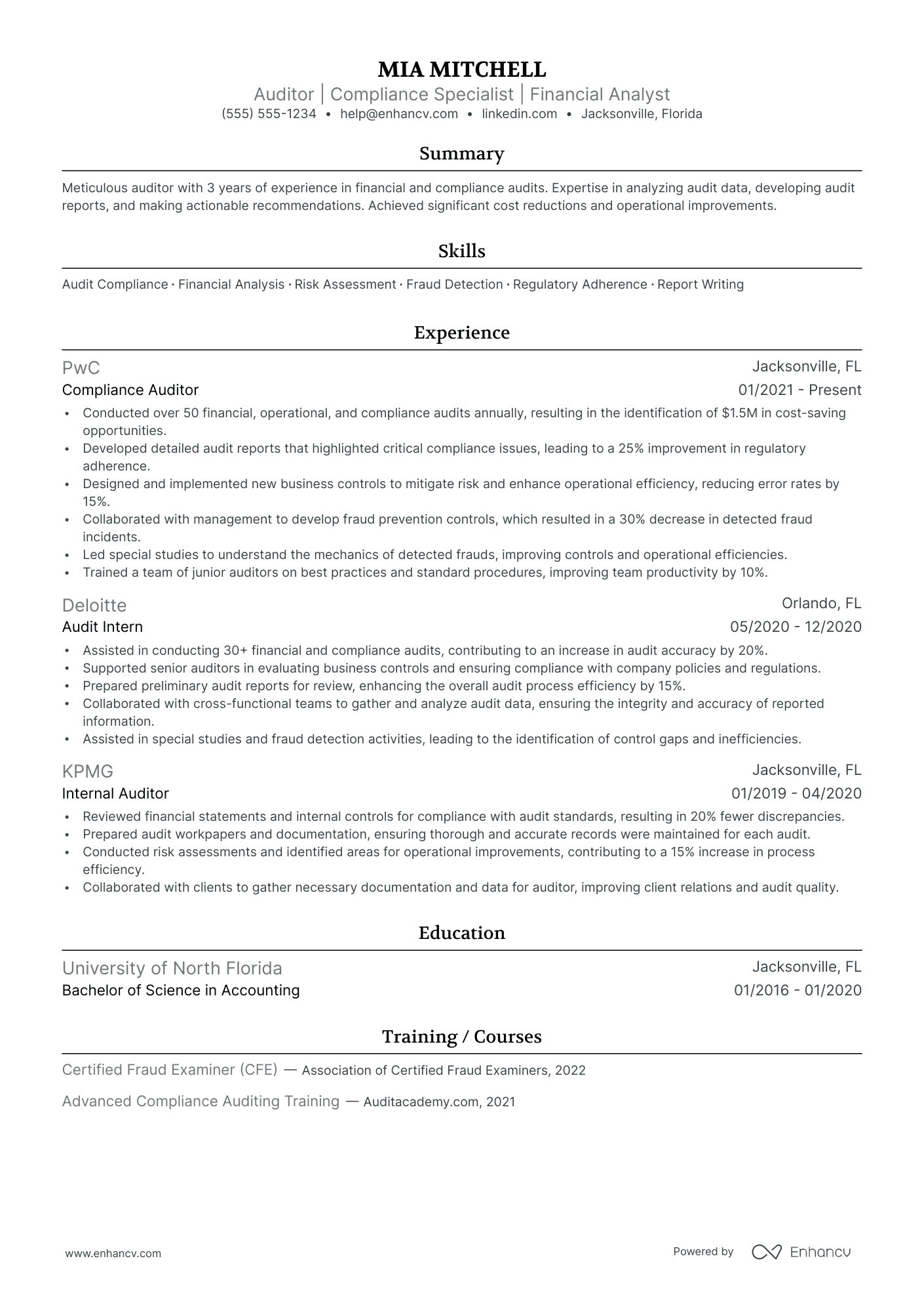 Operational Auditor resume example