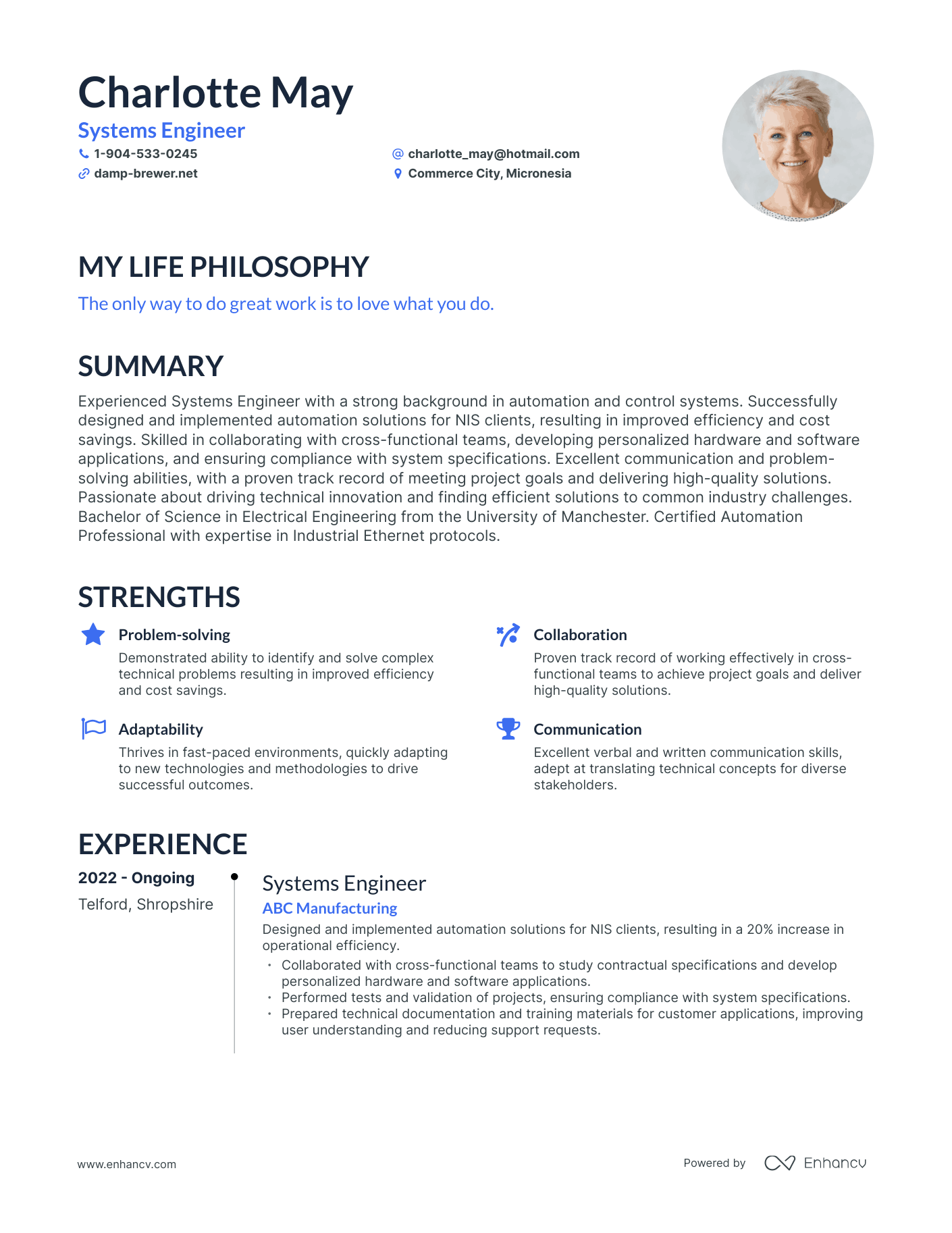 Creative Systems Engineer Resume Example