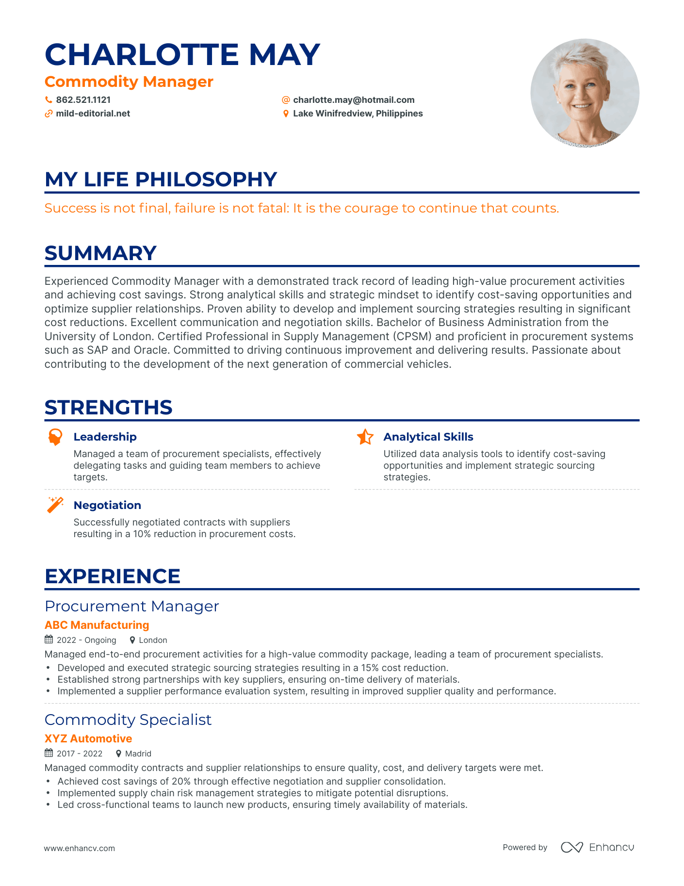 Creative Commodity Manager Resume Example