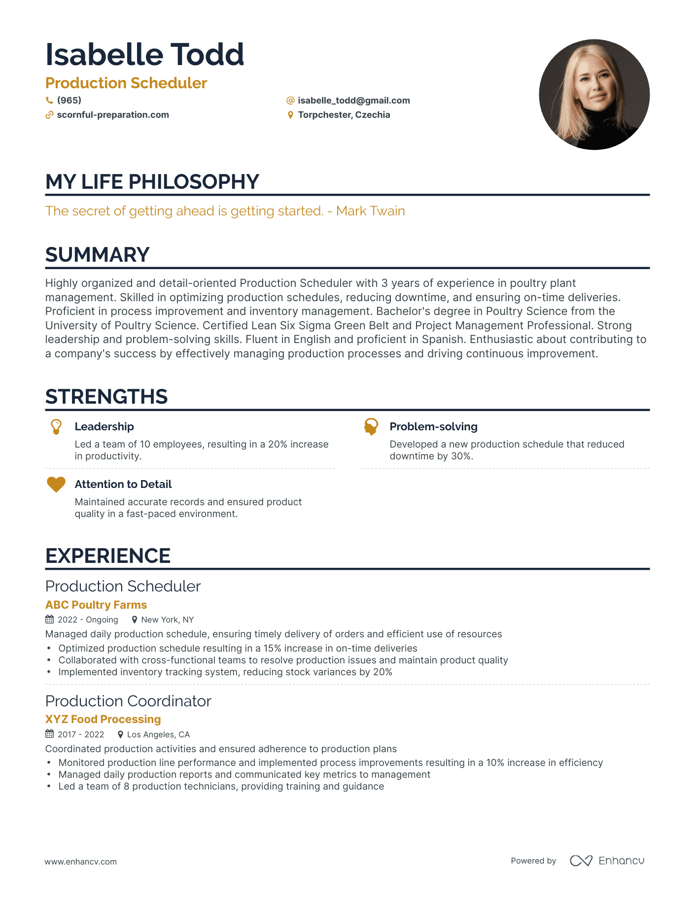 Creative Production Scheduler Resume Example