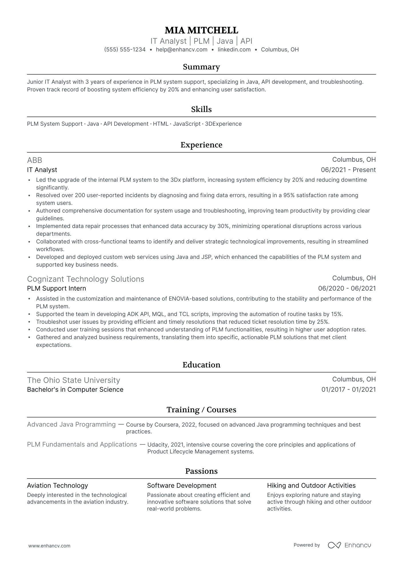 Senior IT Analyst Resume Example Resume Example