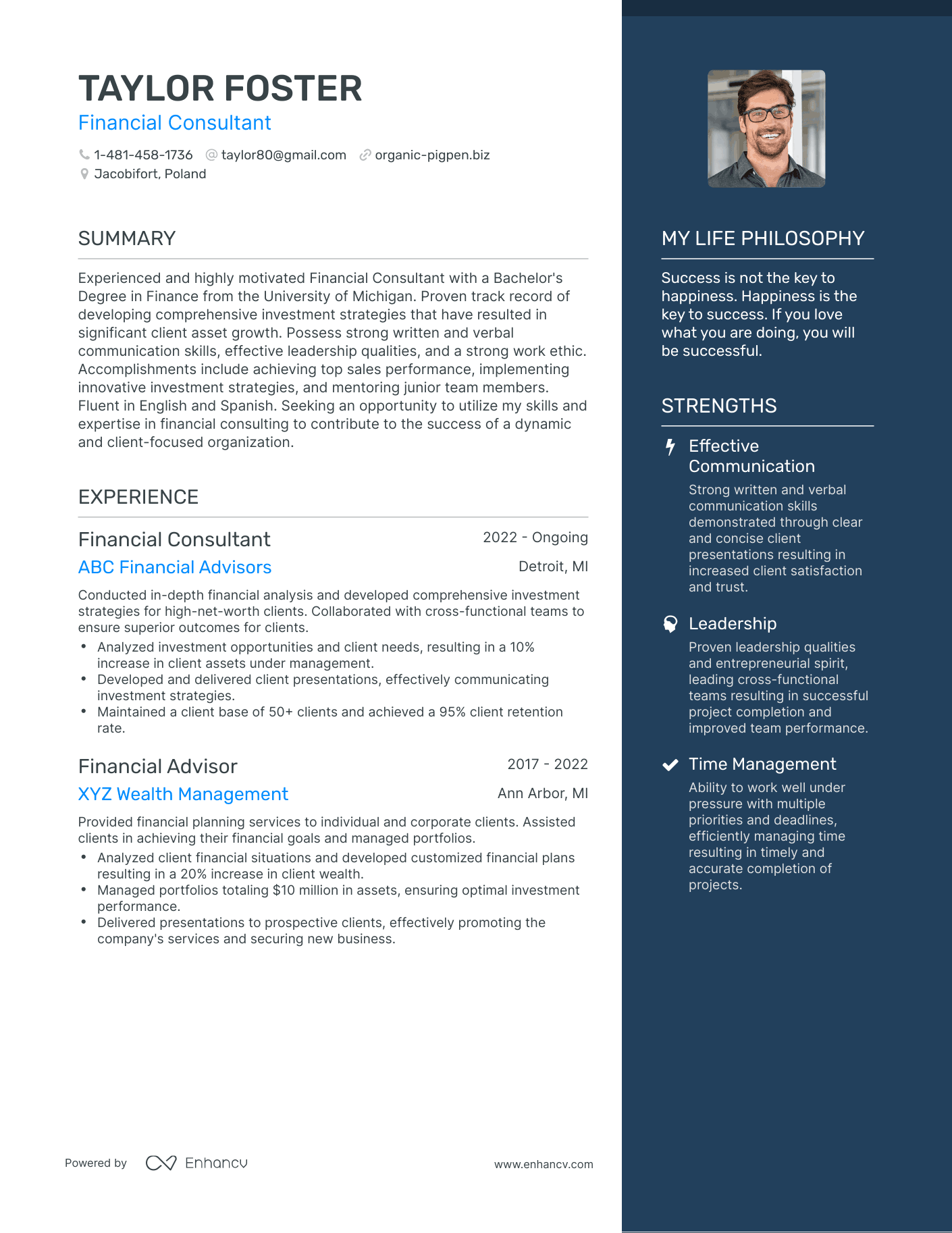 Modern Financial Consultant Resume Example