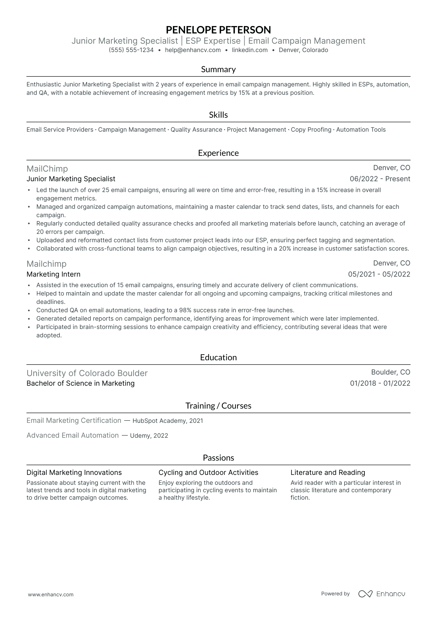 Virtual Marketing Assistant resume example