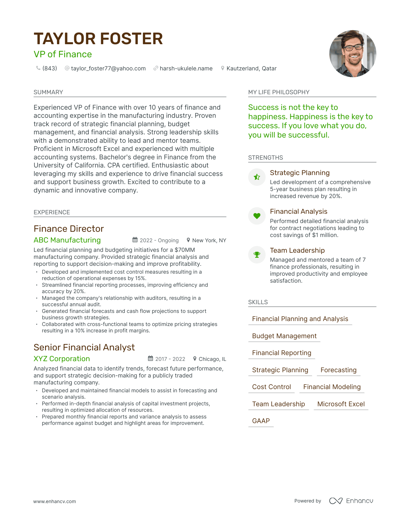 VP of Finance resume example