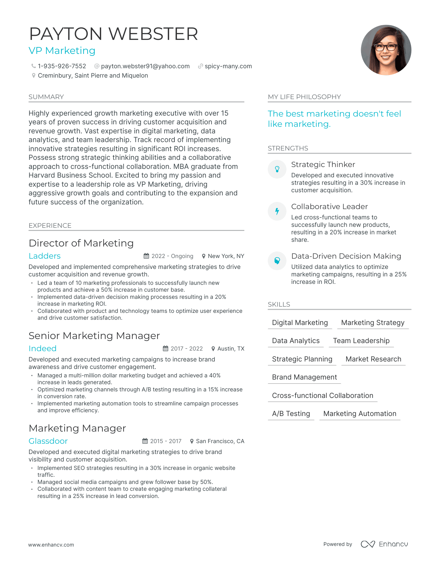 VP Marketing resume example