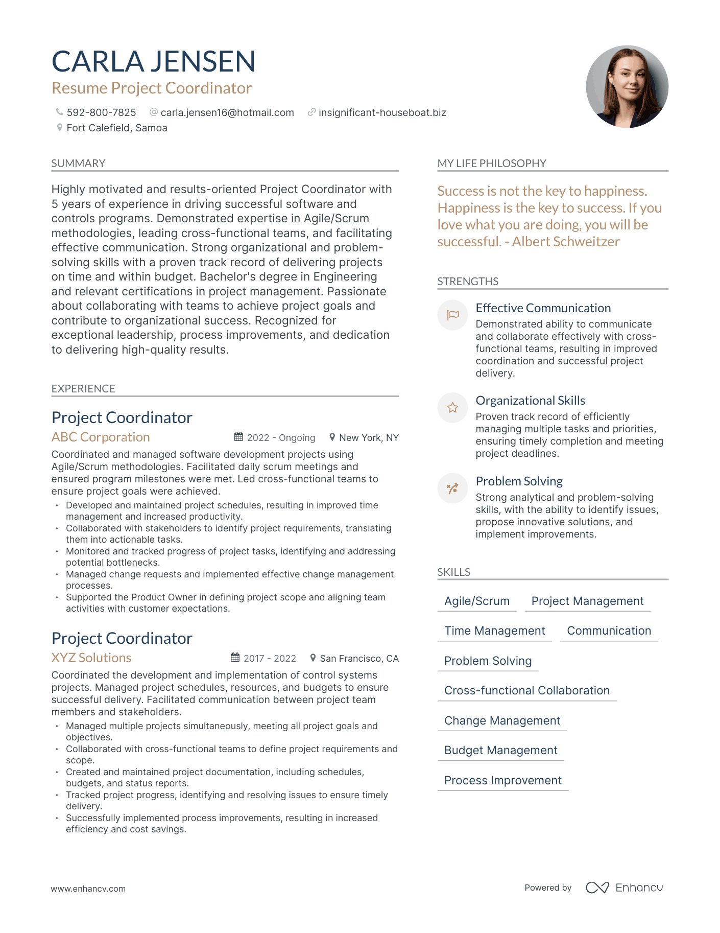 Modern Resume Project Coordinator Resume Example