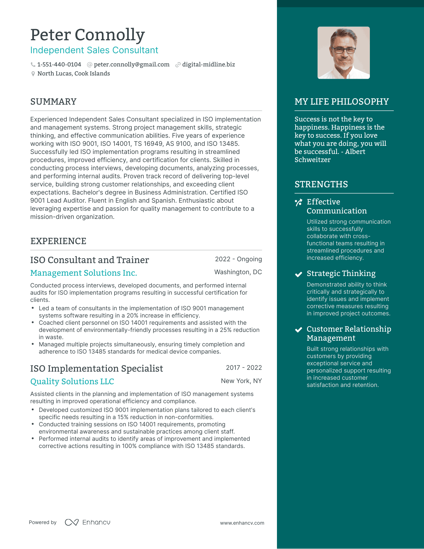 Modern Independent Sales Consultant Resume Example