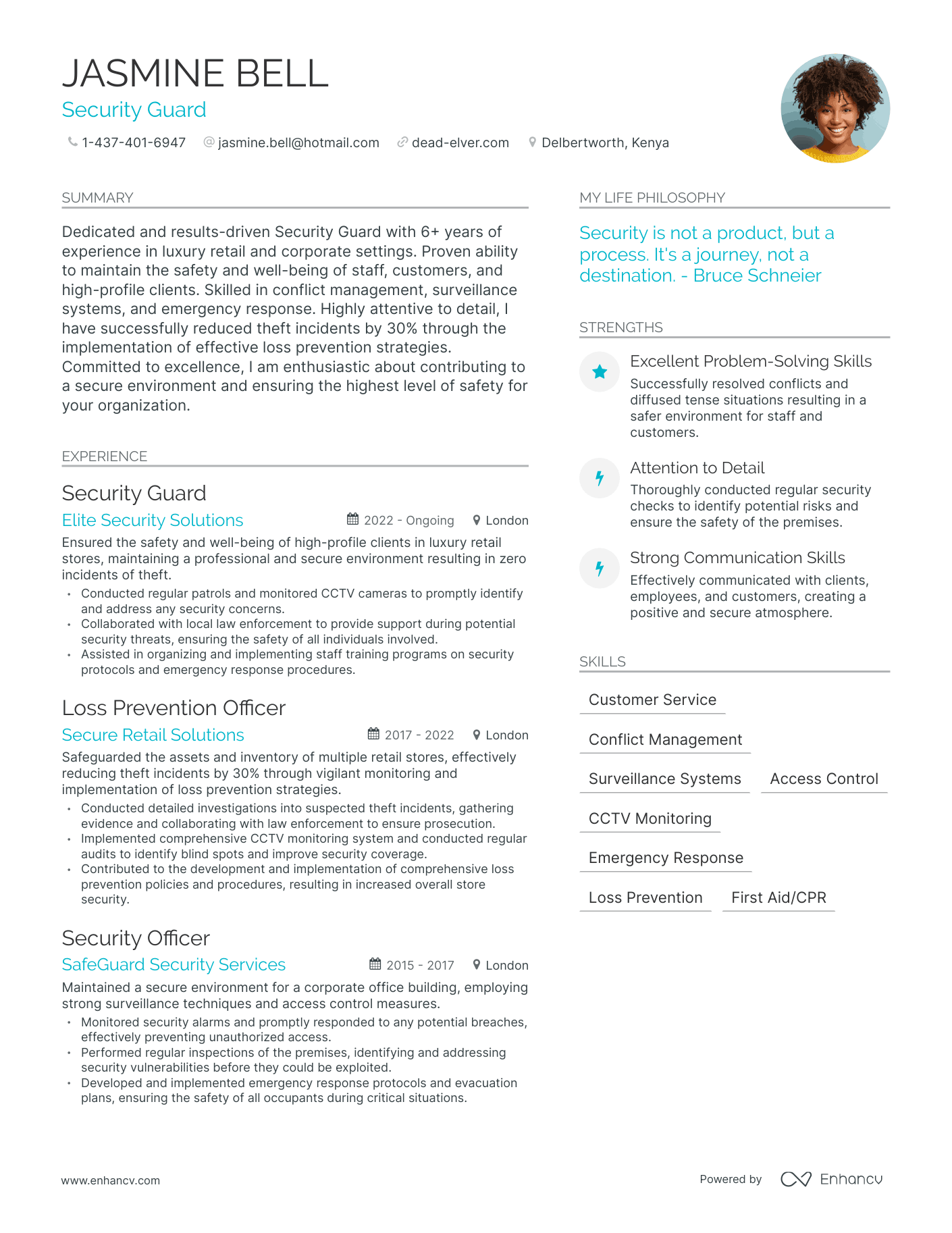Modern Security Guard Resume Example