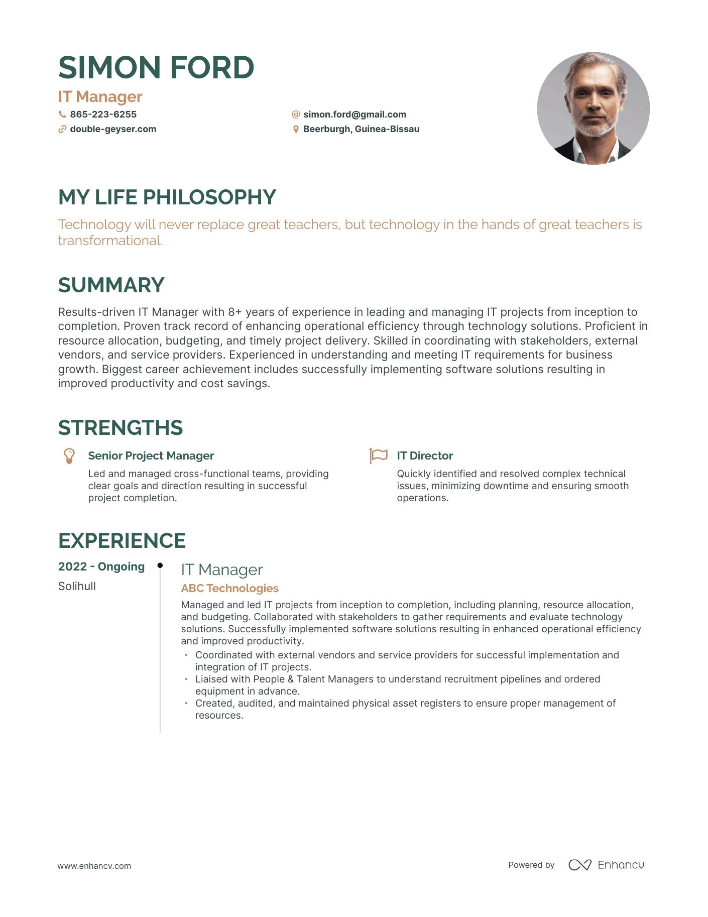 Creative IT Manager Resume Example