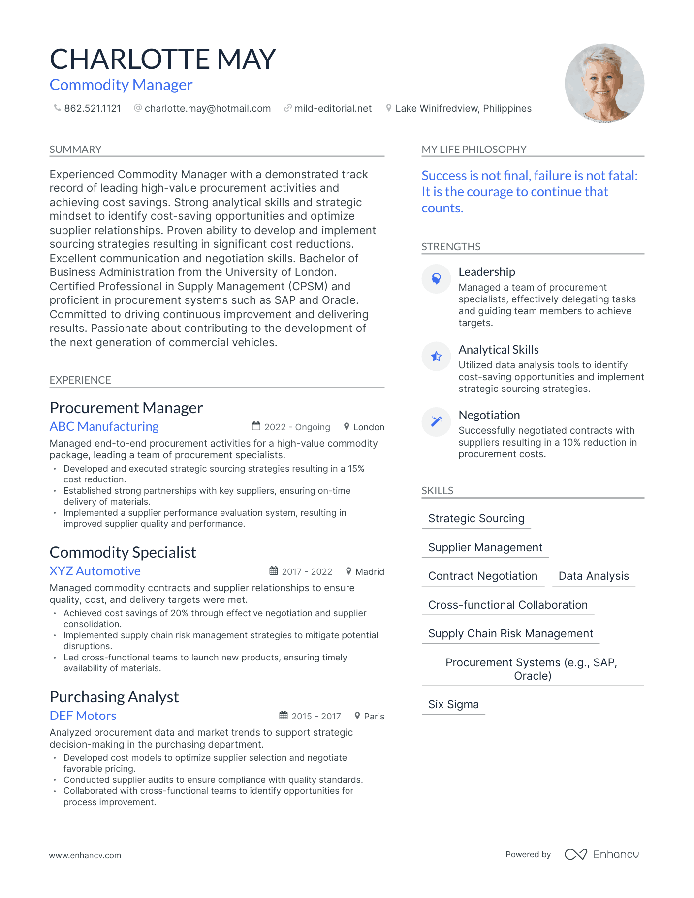 Modern Commodity Manager Resume Example