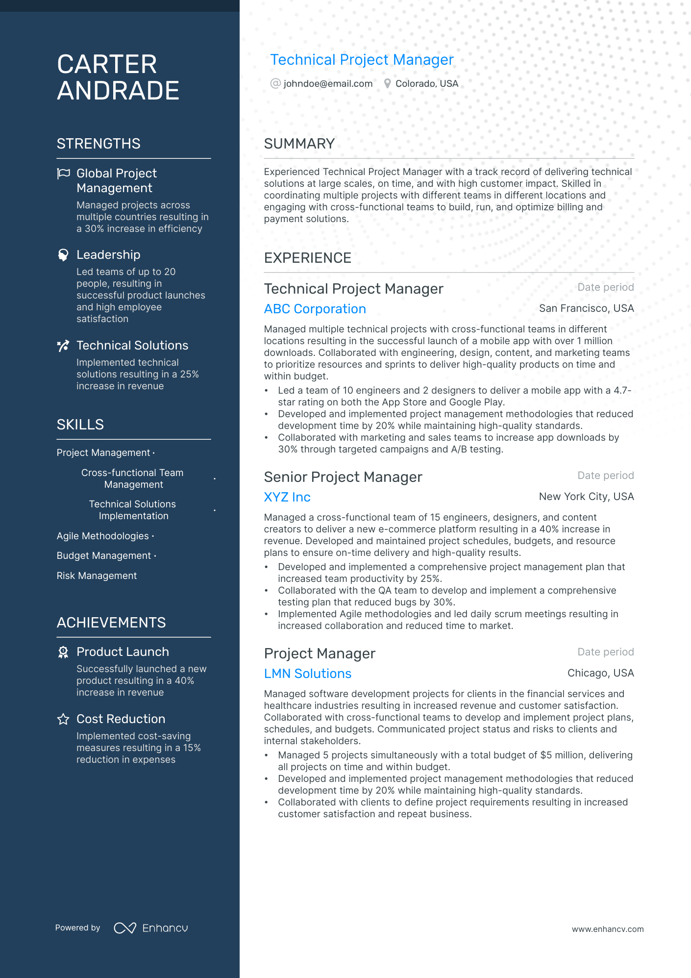 technical project manager resume example