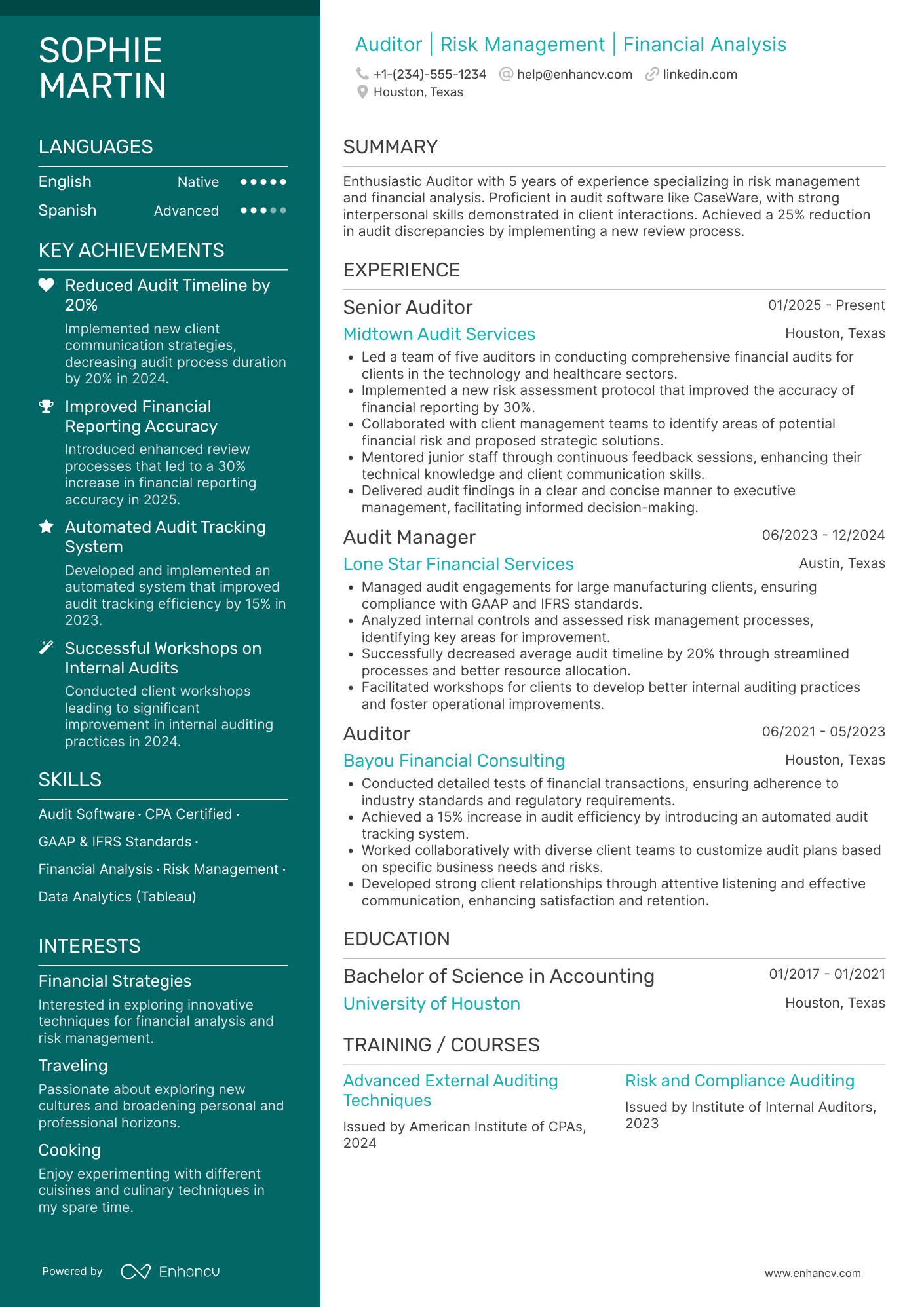 Big 4 Auditor resume example