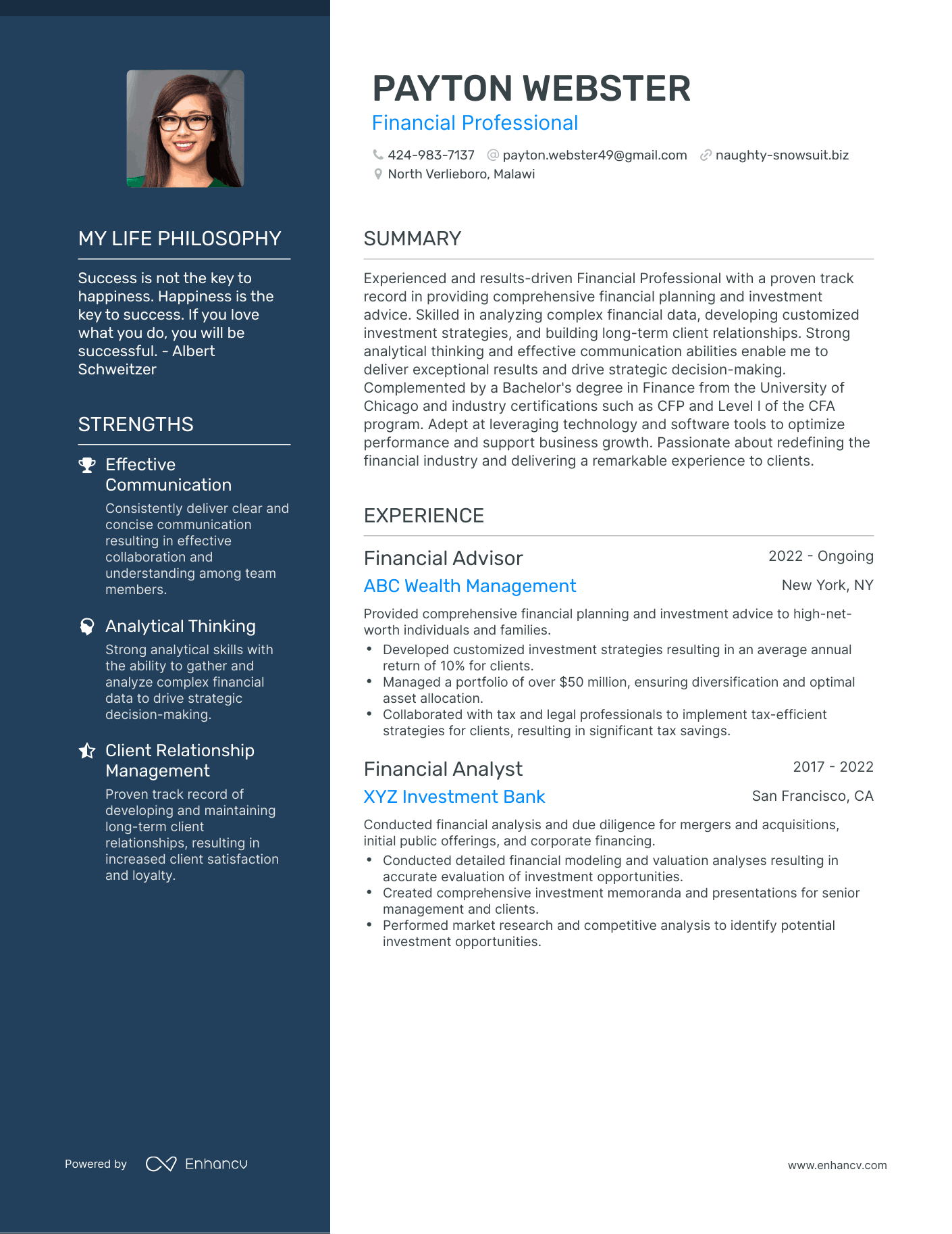 Creative Financial Professional Resume Example