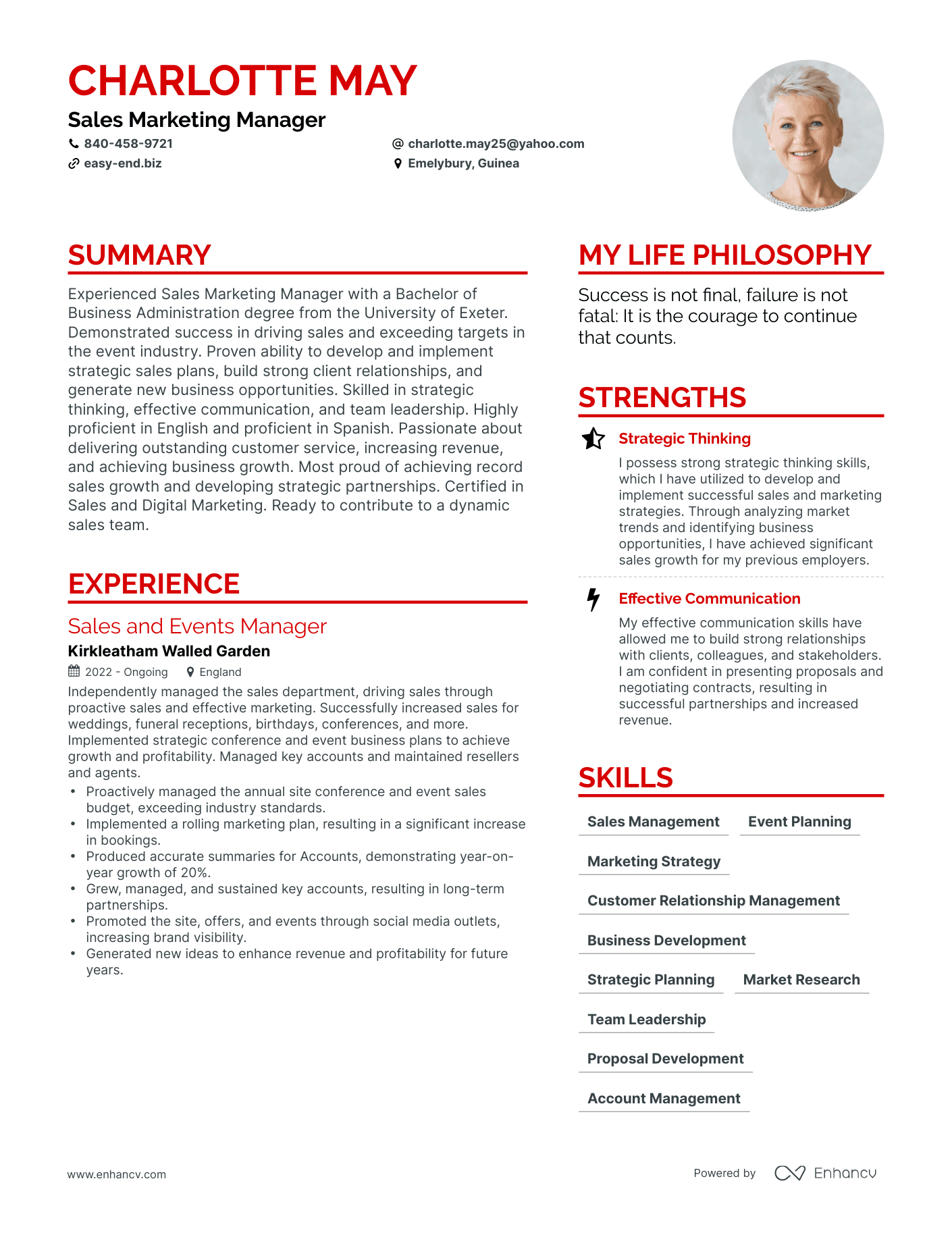 Modern Sales Marketing Manager Resume Example