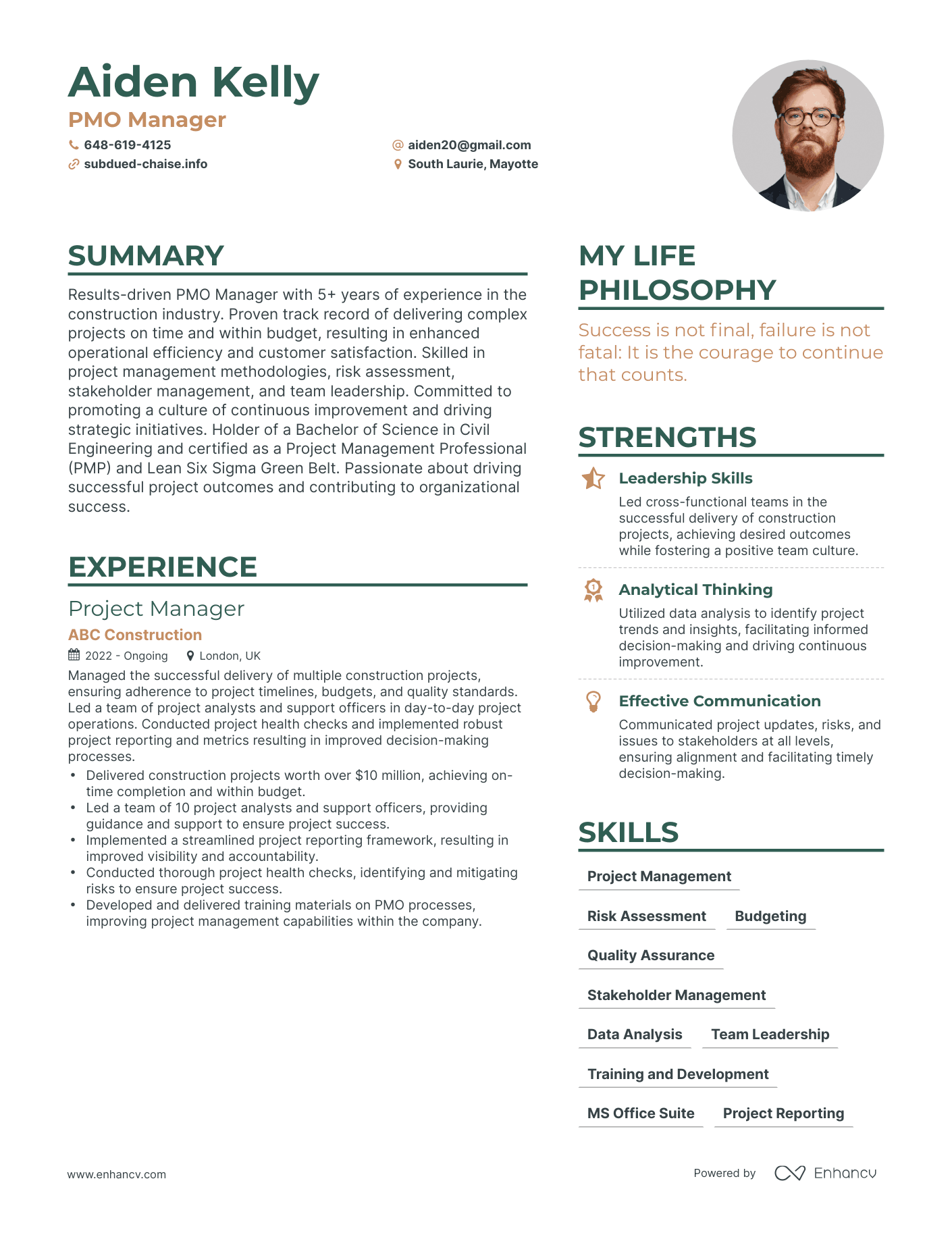 Modern PMO Manager Resume Example