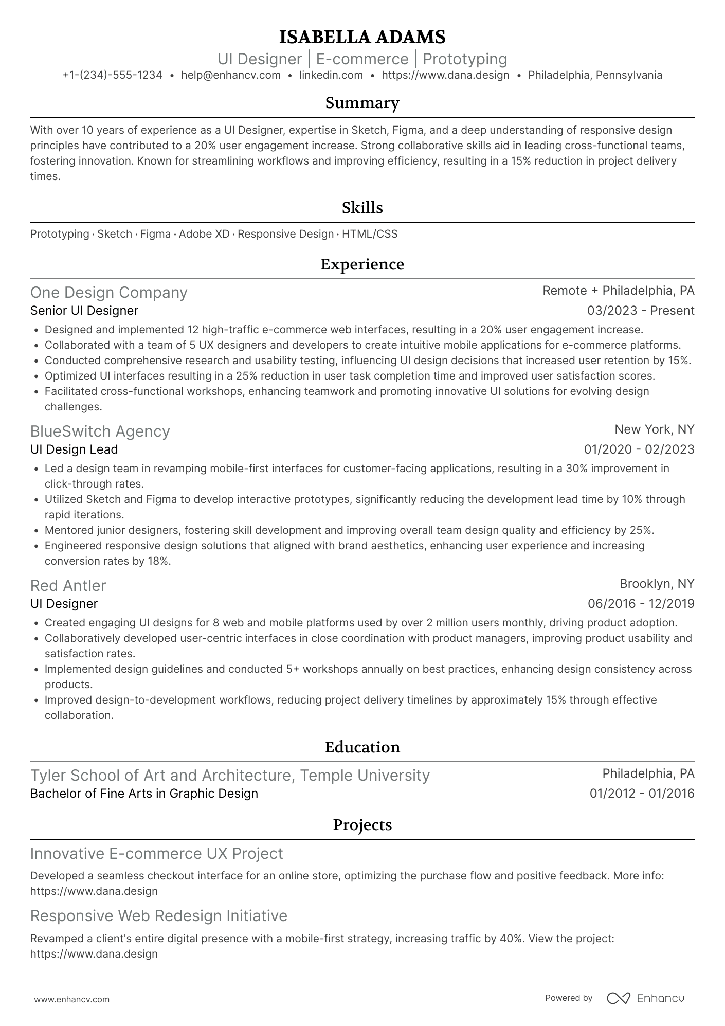 UI Designer resume example
