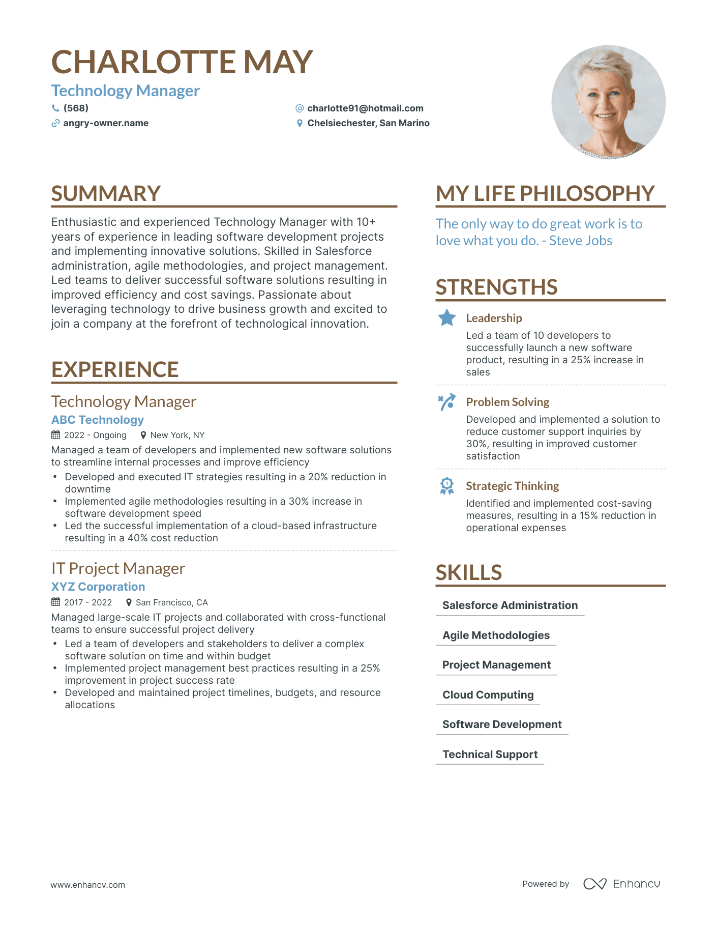 Modern Technology Manager Resume Example