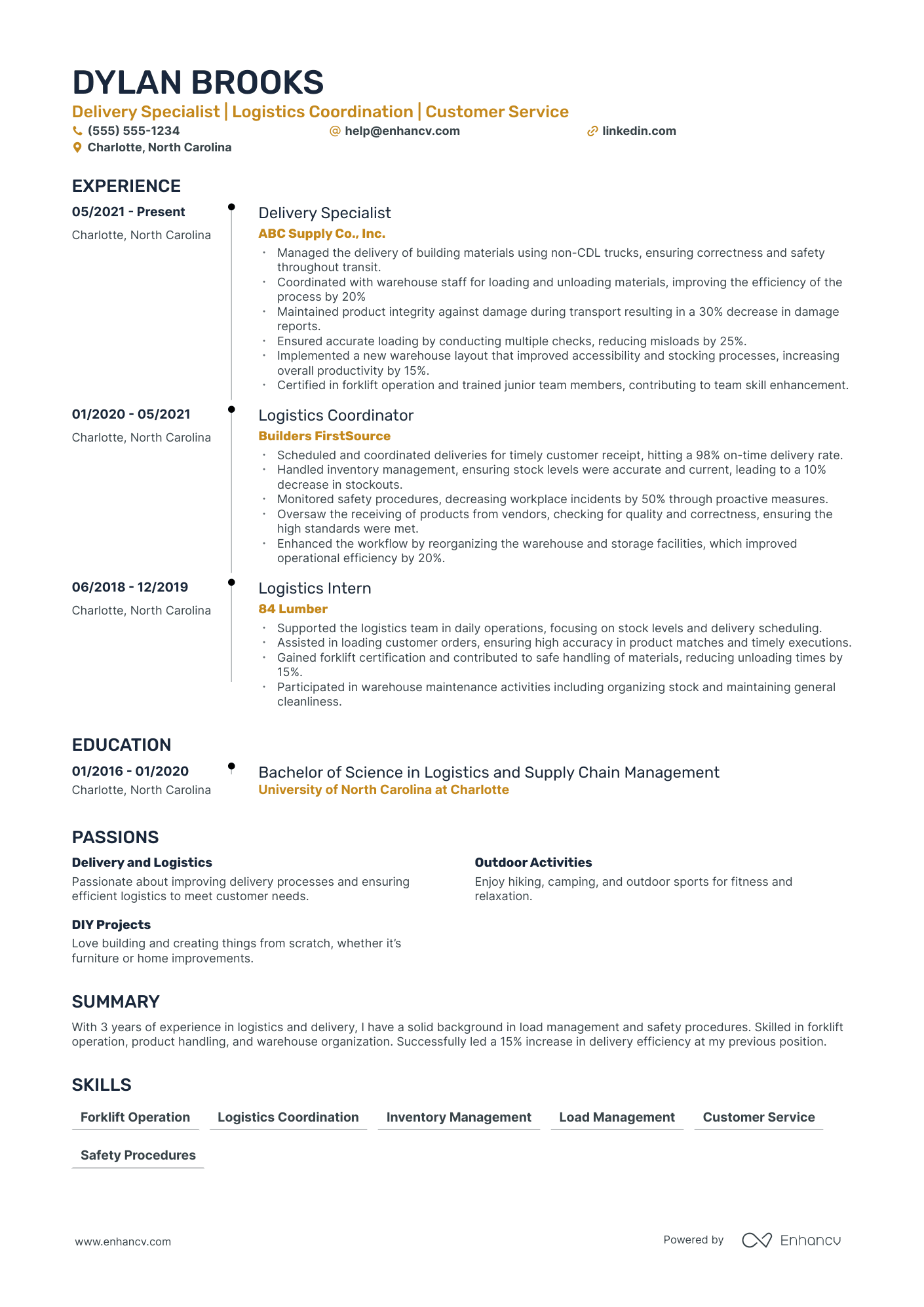 Lead Delivery Driver resume example