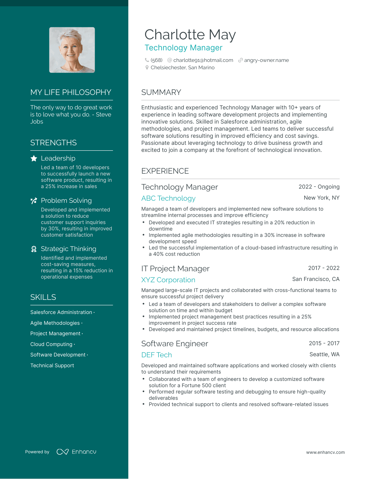 Technology Manager resume example