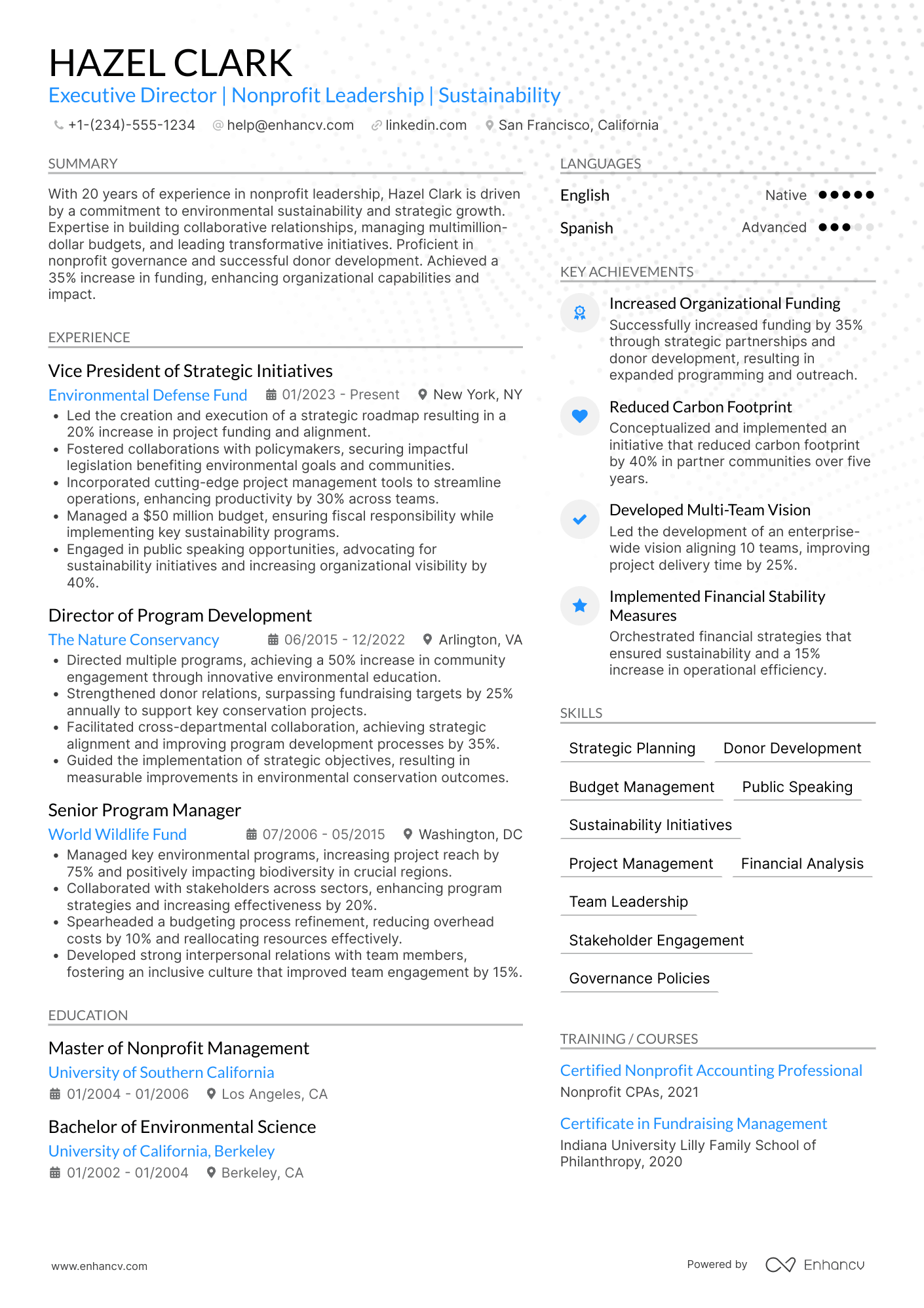 Executive Director resume example