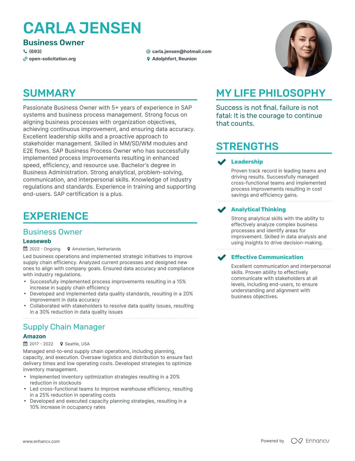 Modern Business Owner Resume Example