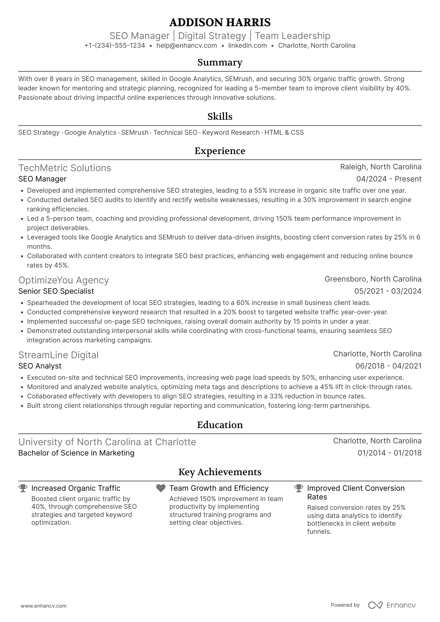 SEO Manager resume example